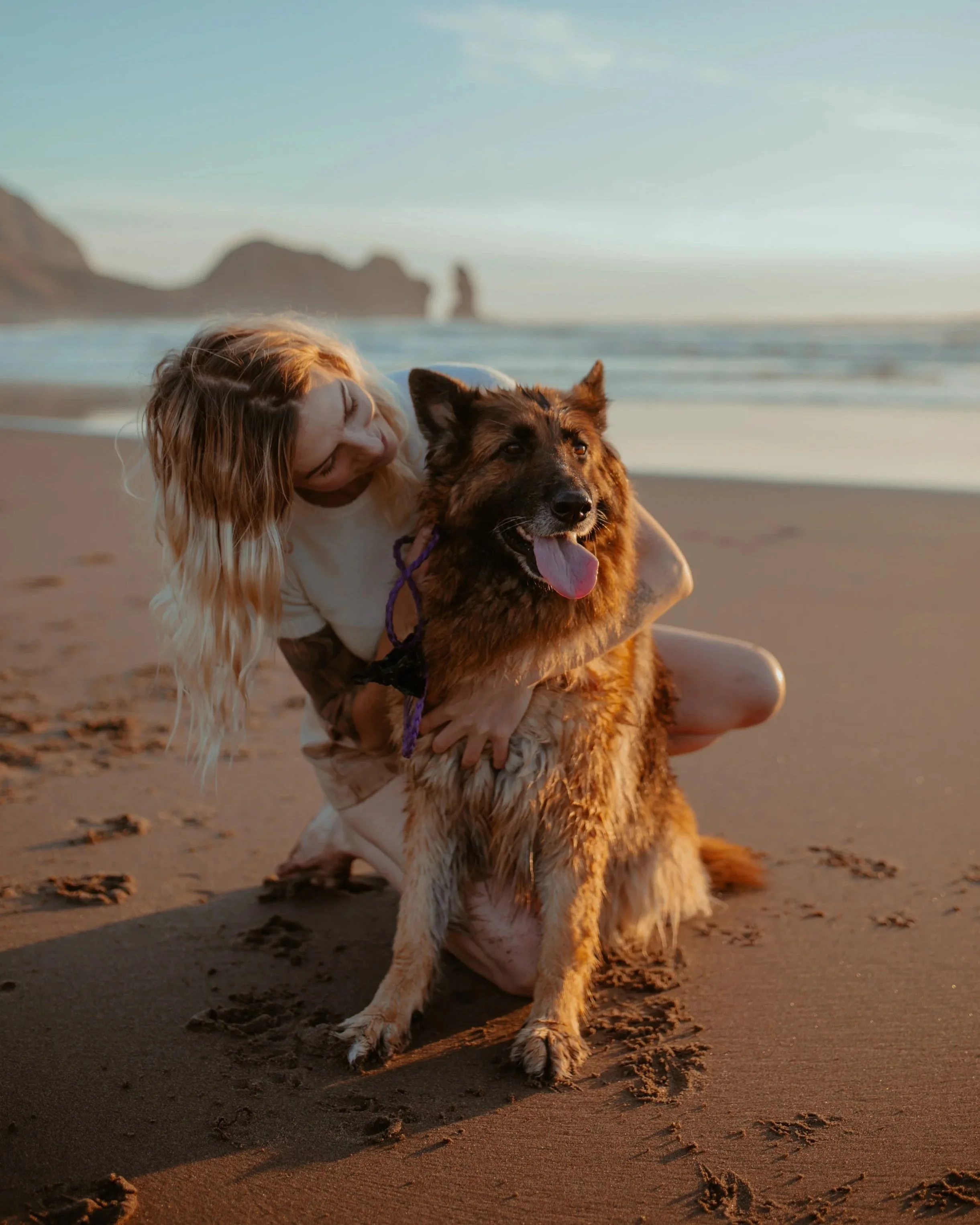 A woman and a large dog sitting on a sandy beach at sunset, with cliffs in the background.