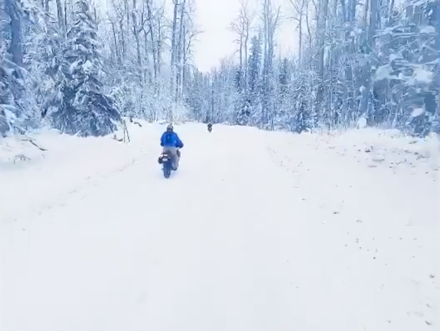 Screen Shot 2021-01-19 at 10.48.29 PM.png