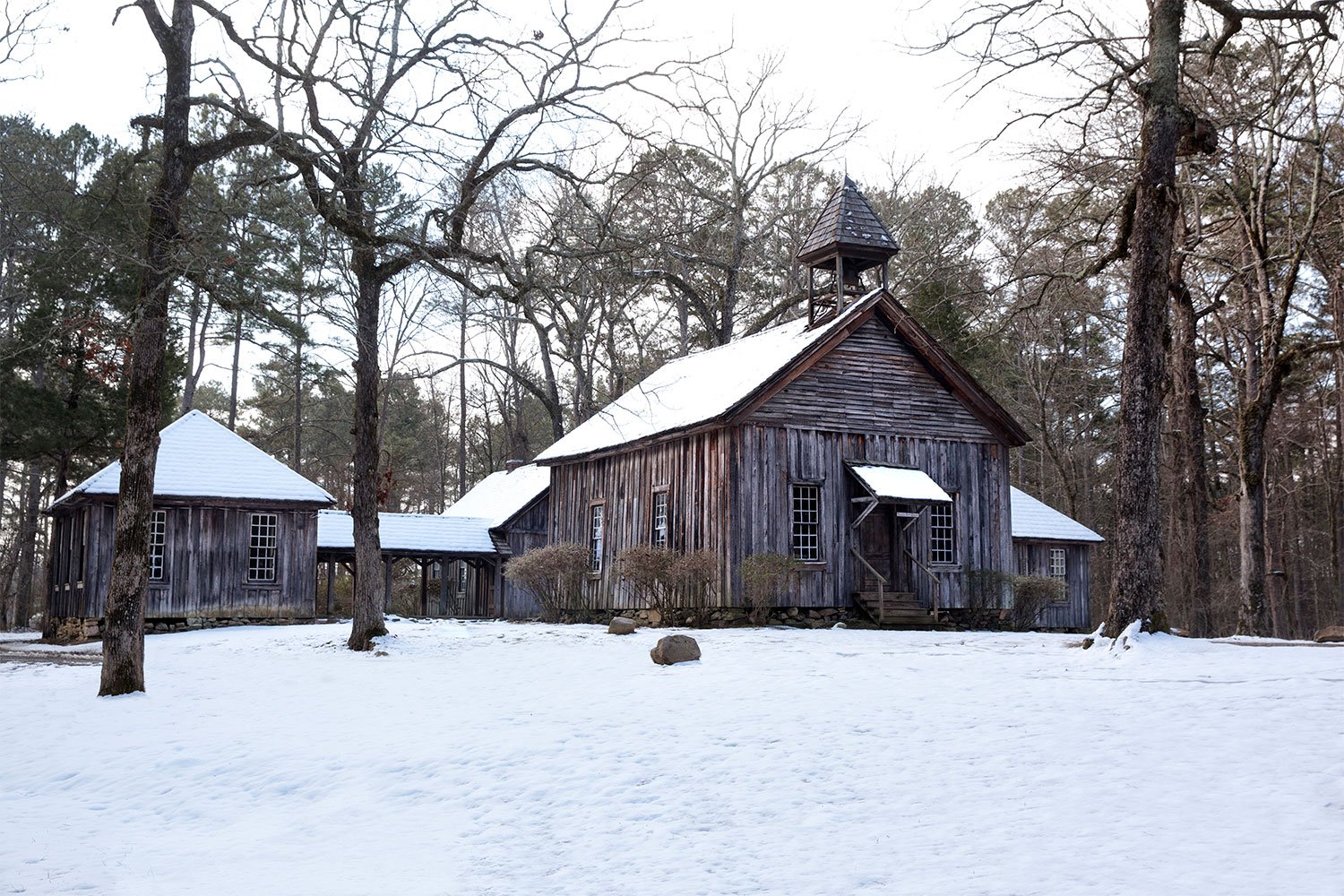 Possum Trot in Snow