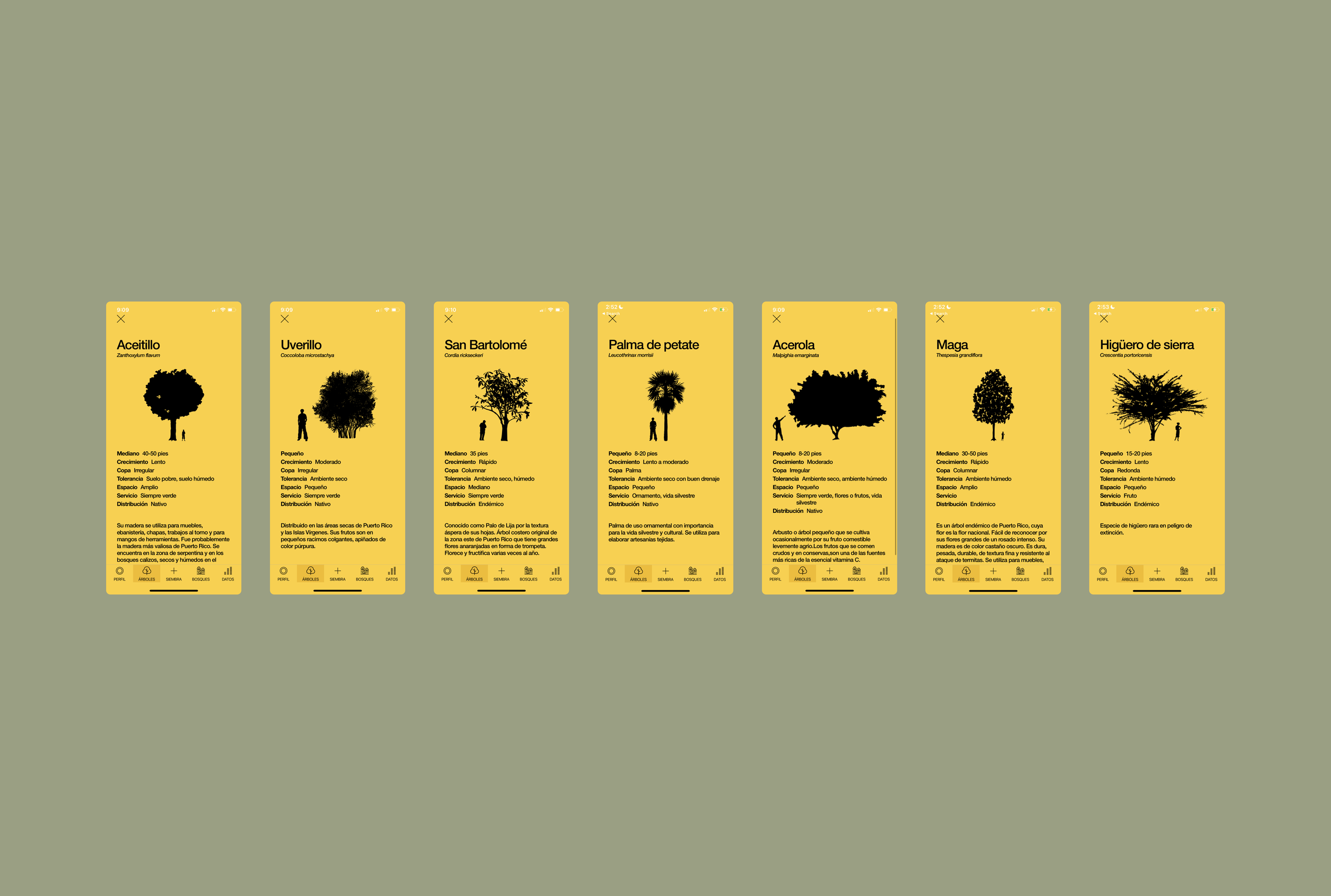 pln_Screens.png