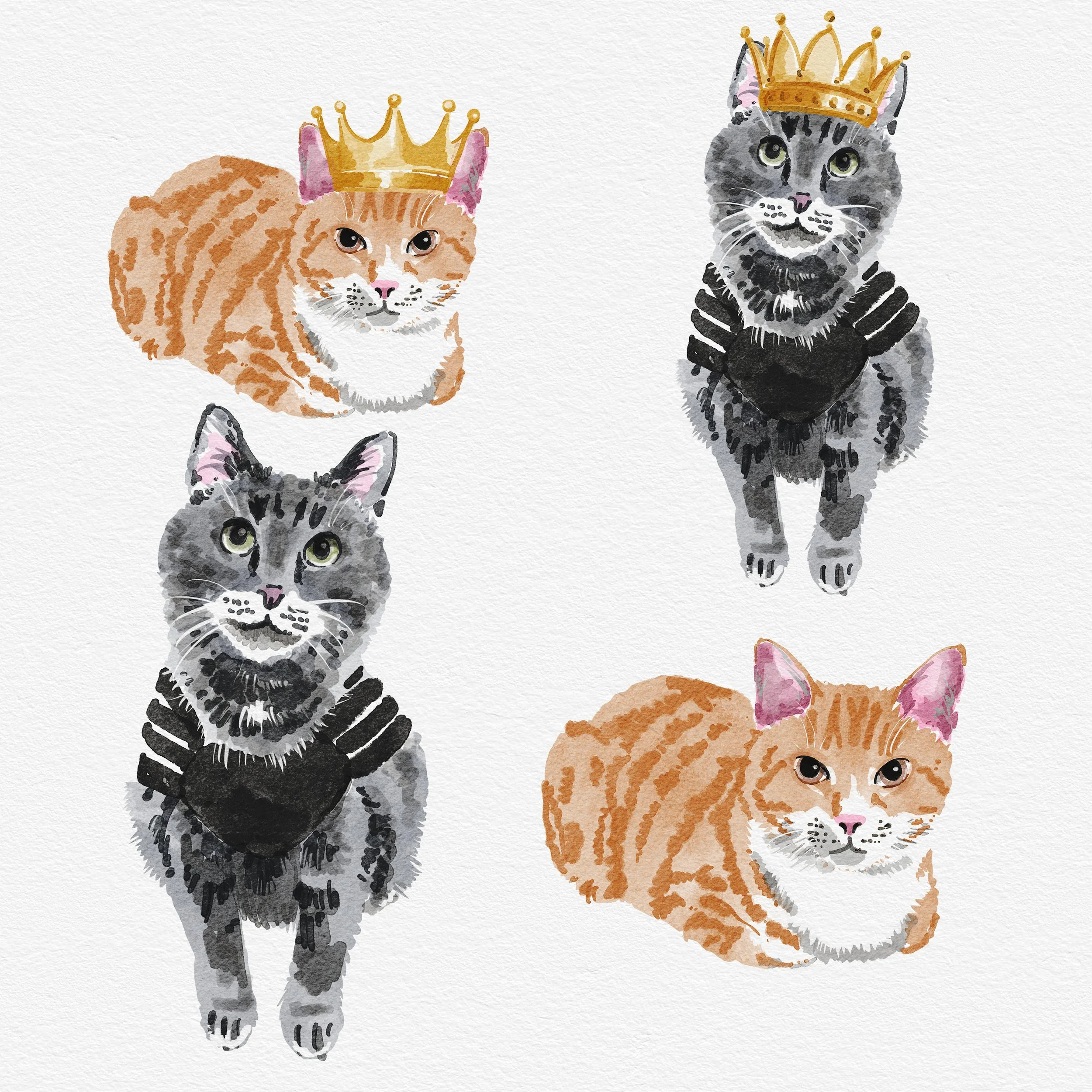 Cats.jpg