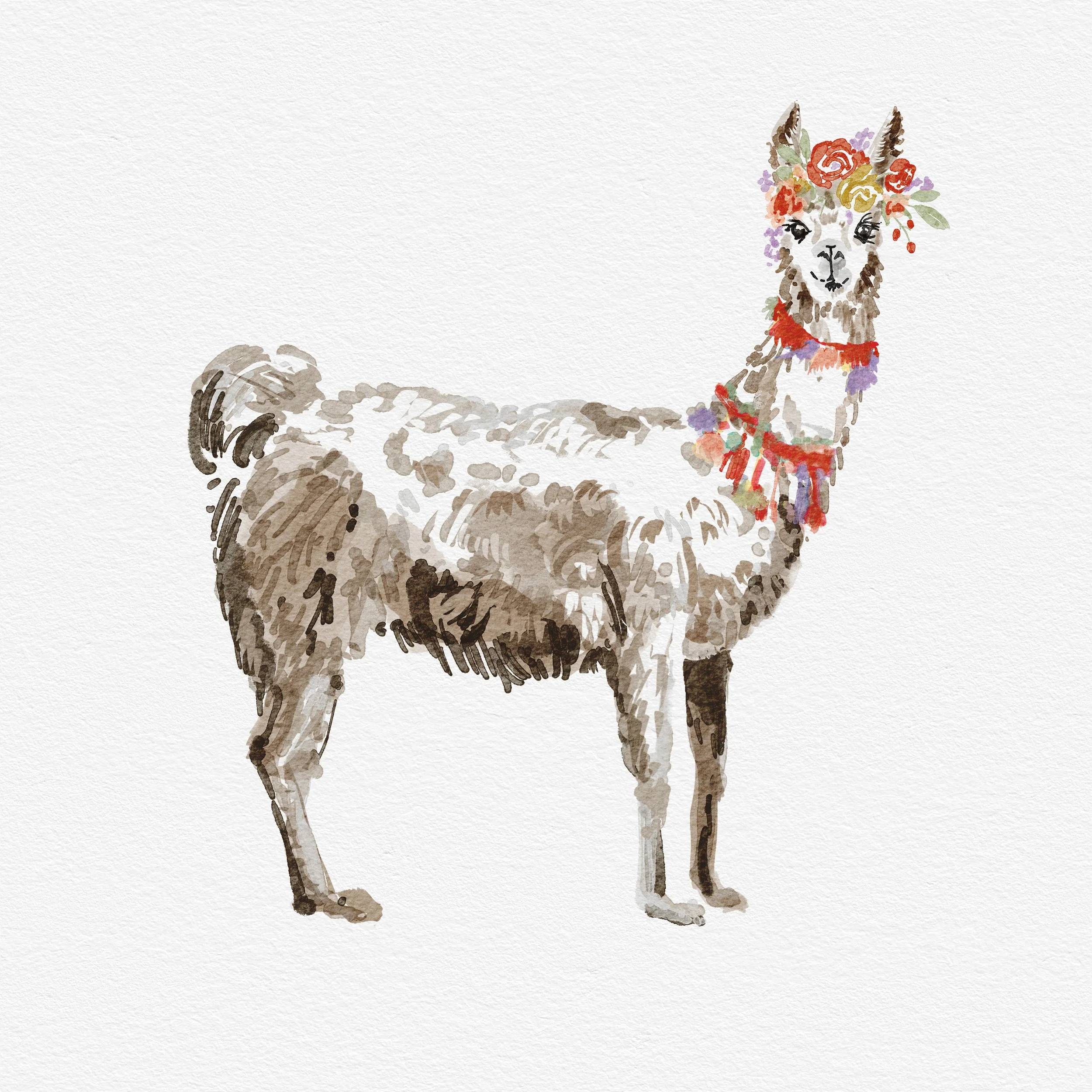 Llama v2