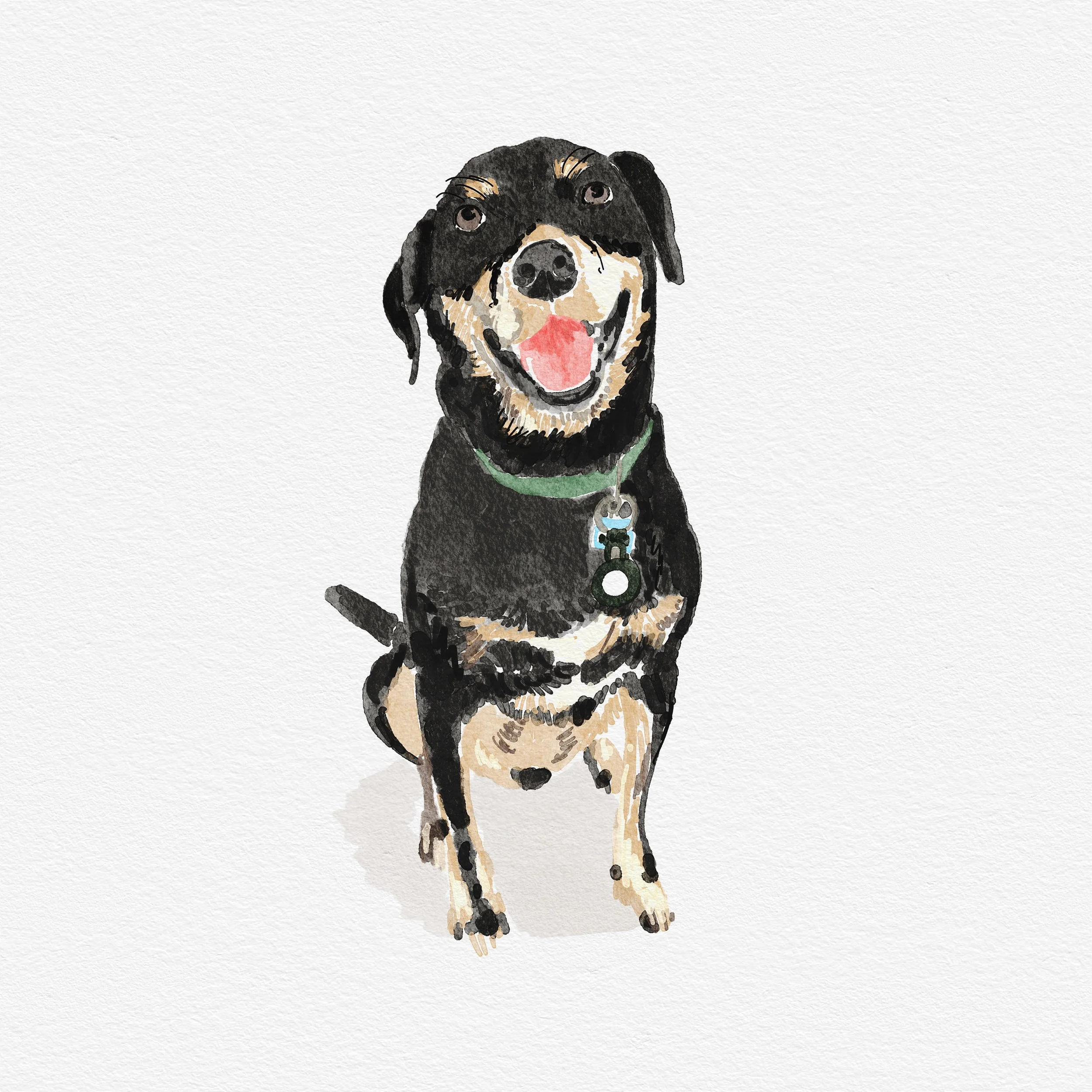 Black pup.jpg