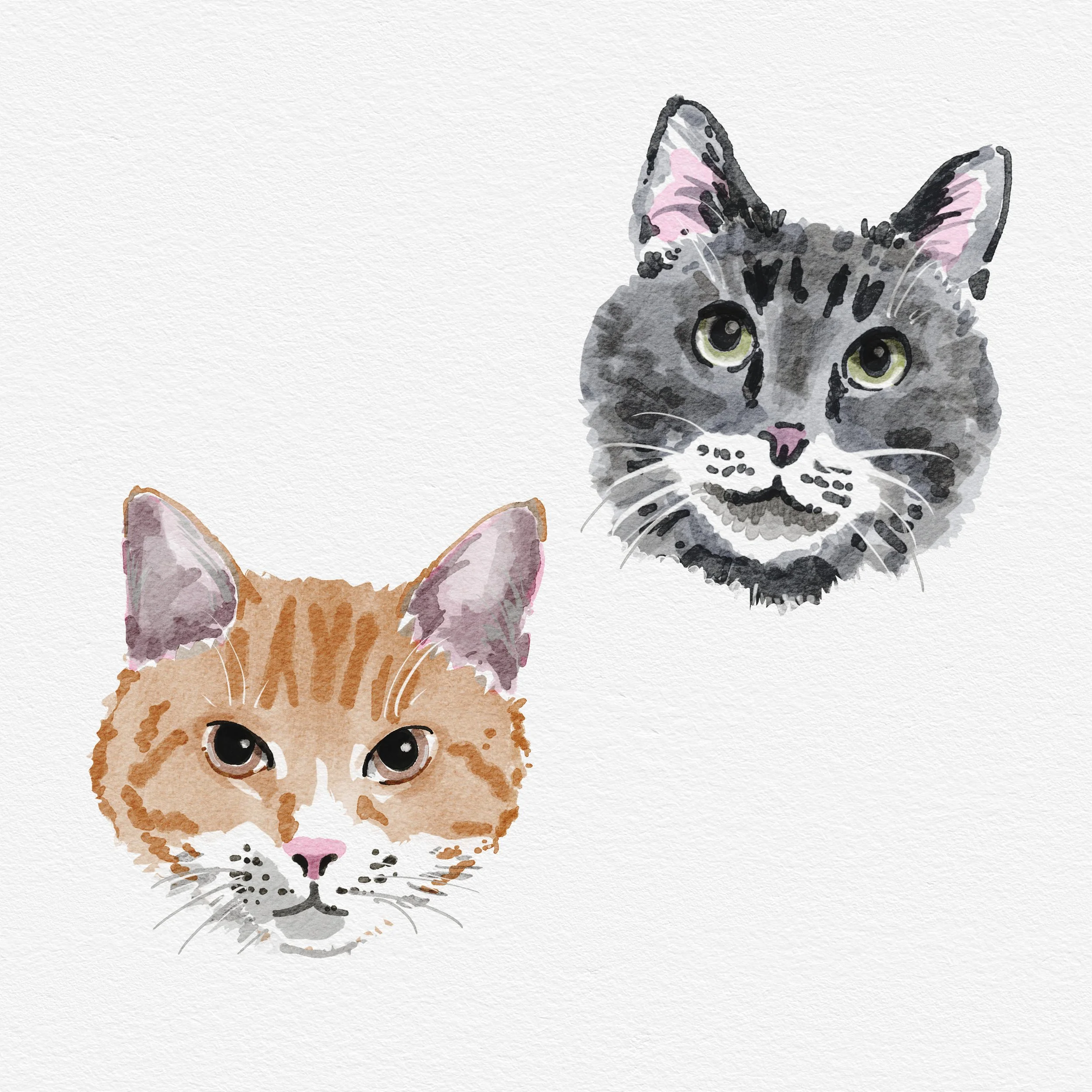Orange and Gray cat heads.jpg