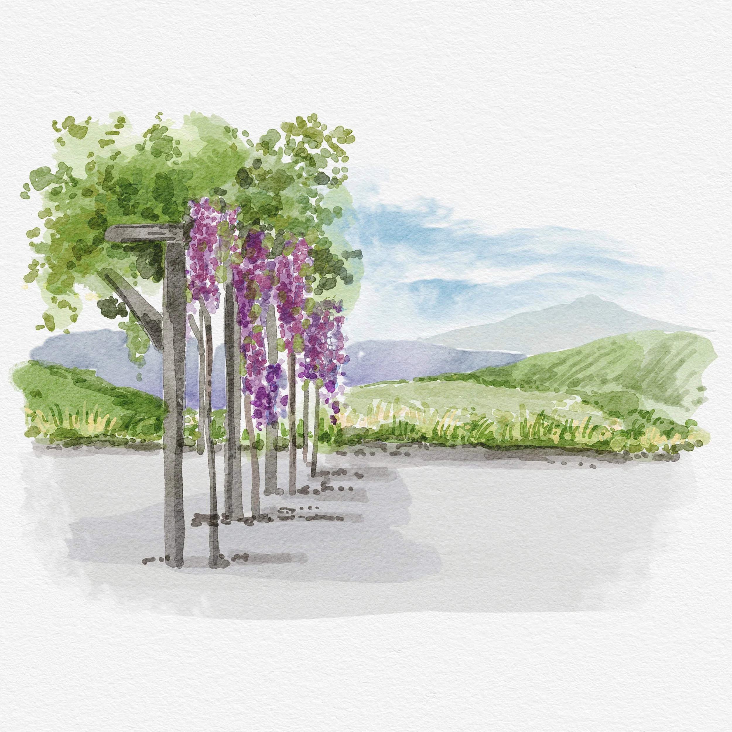 Gorge Crest Vineyard