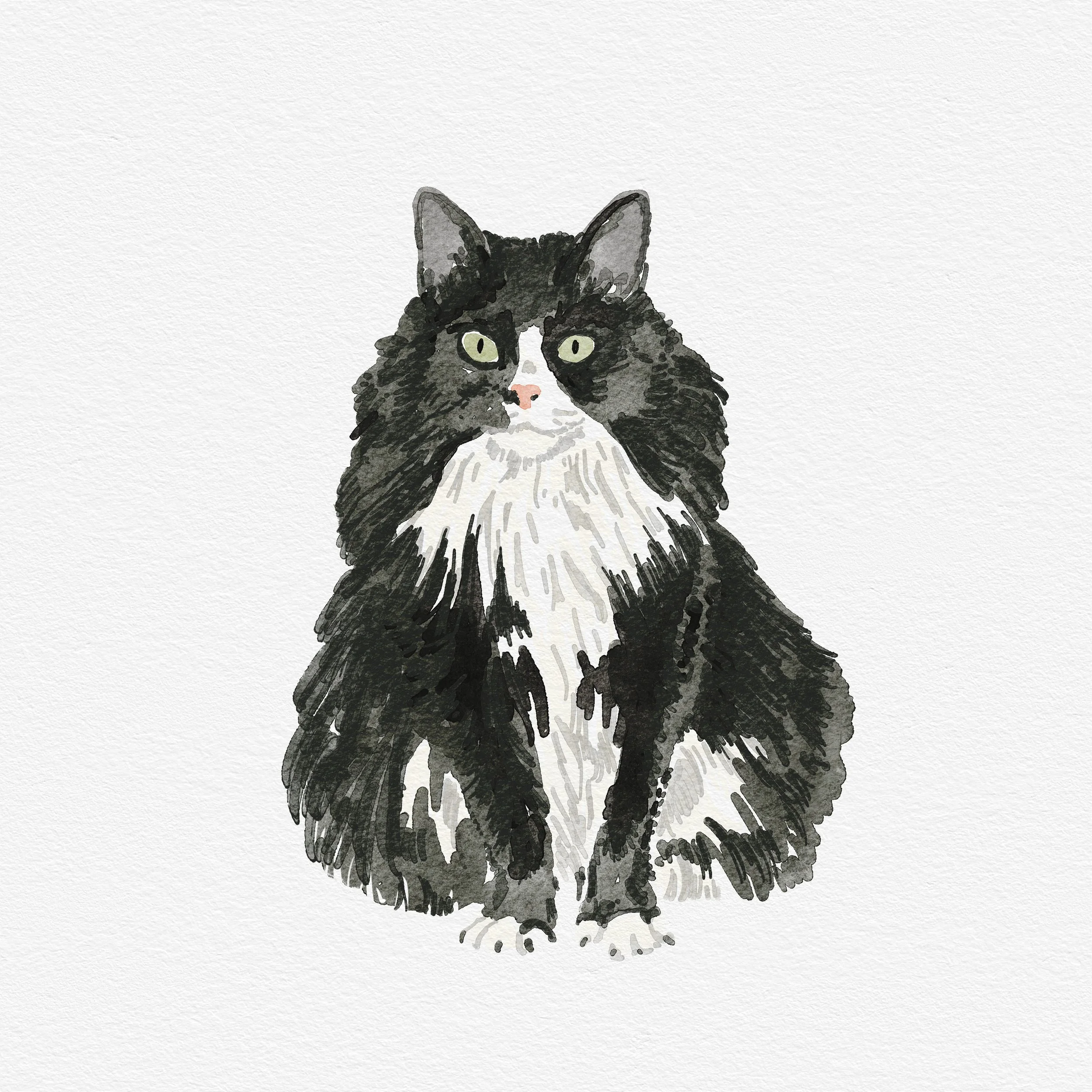 New Kitty.png.jpg