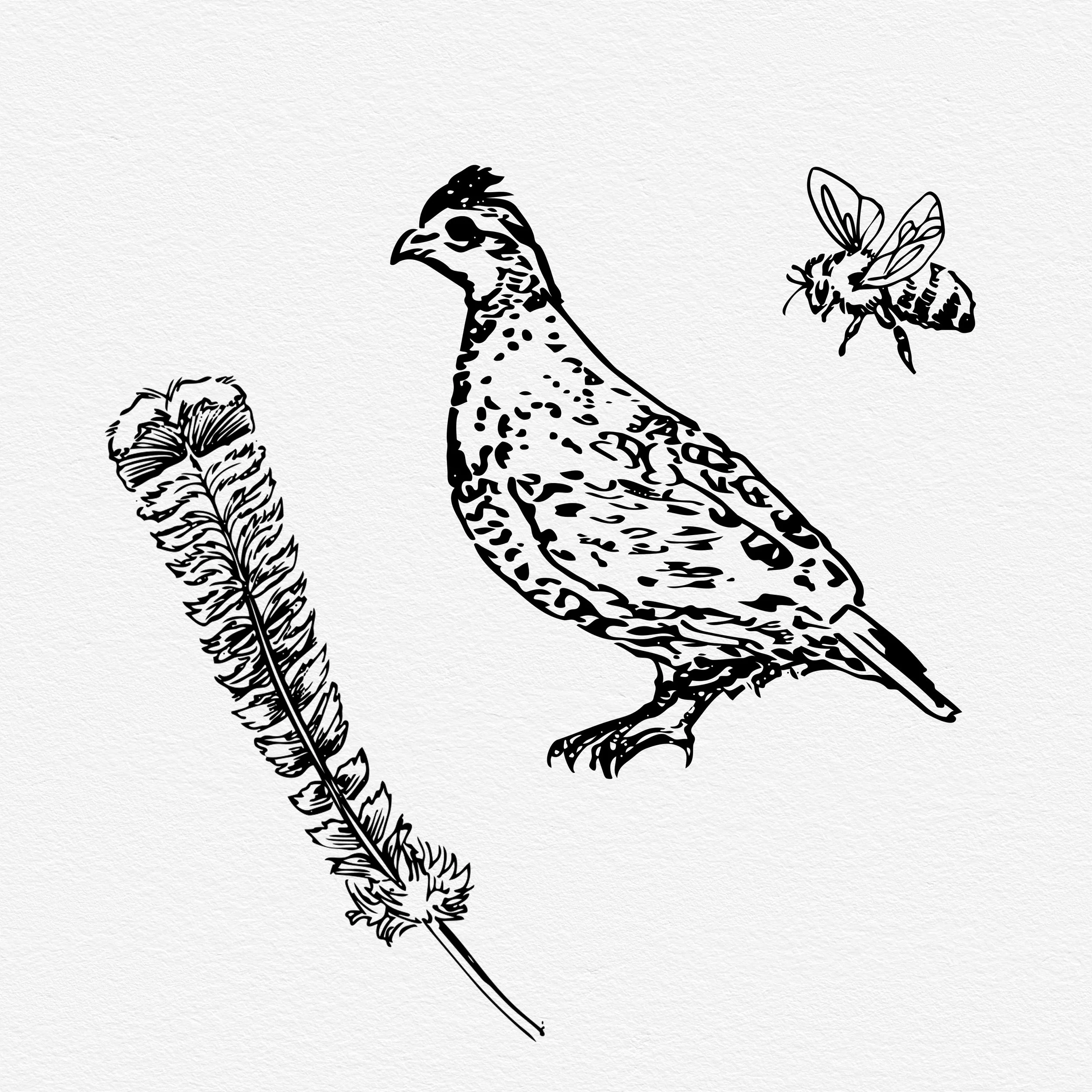 Quail and bee