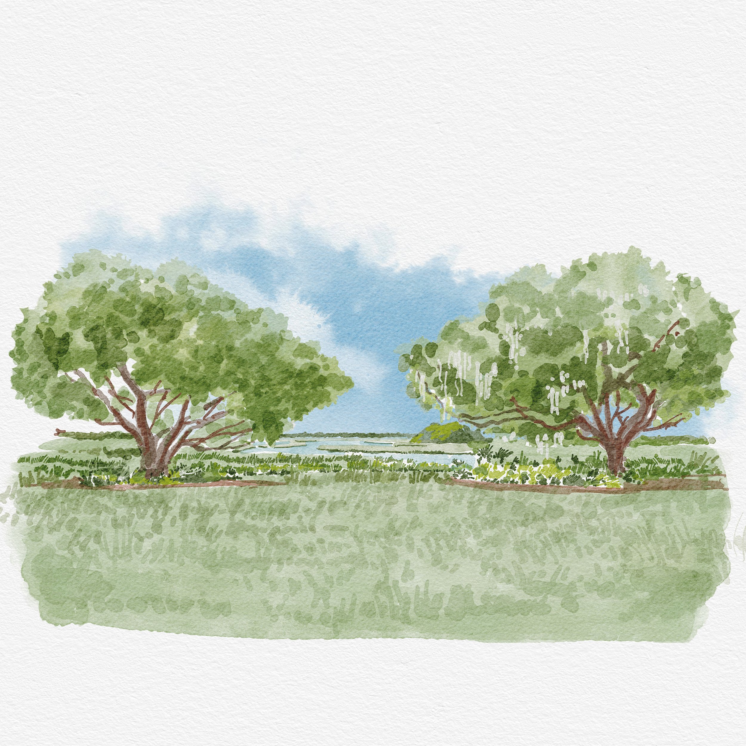 Marsh
