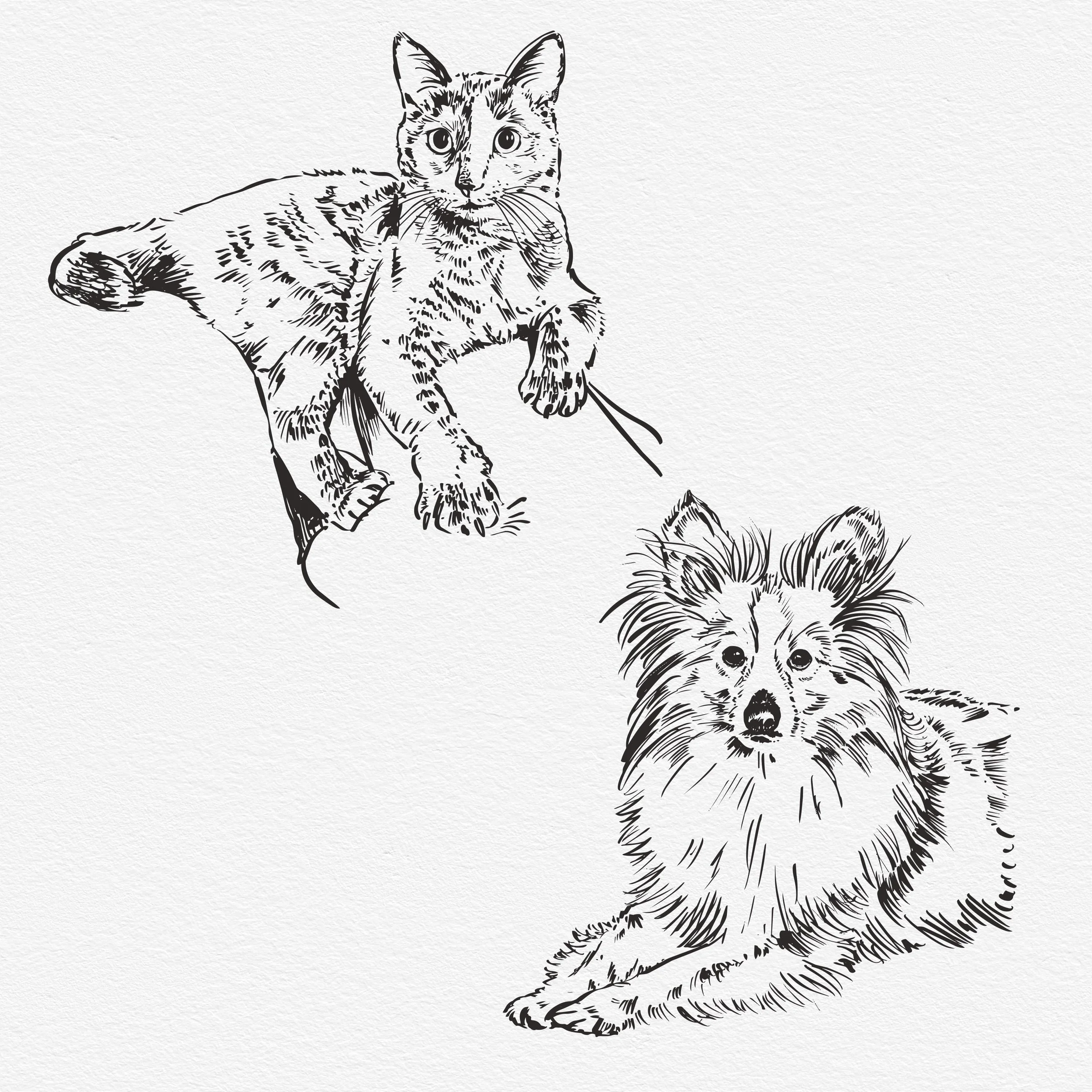 Pup and kitty.jpg