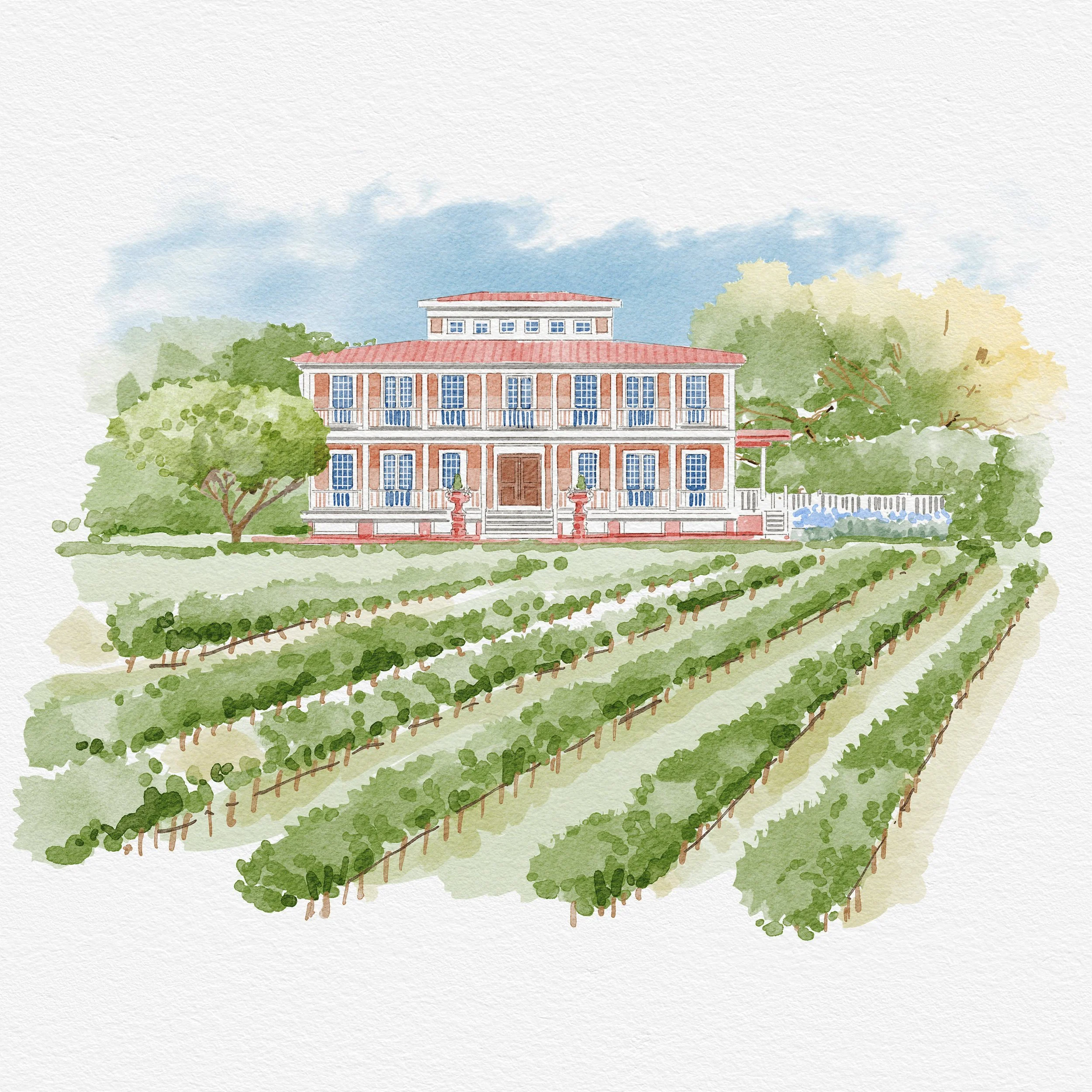 Willow Creek Winery