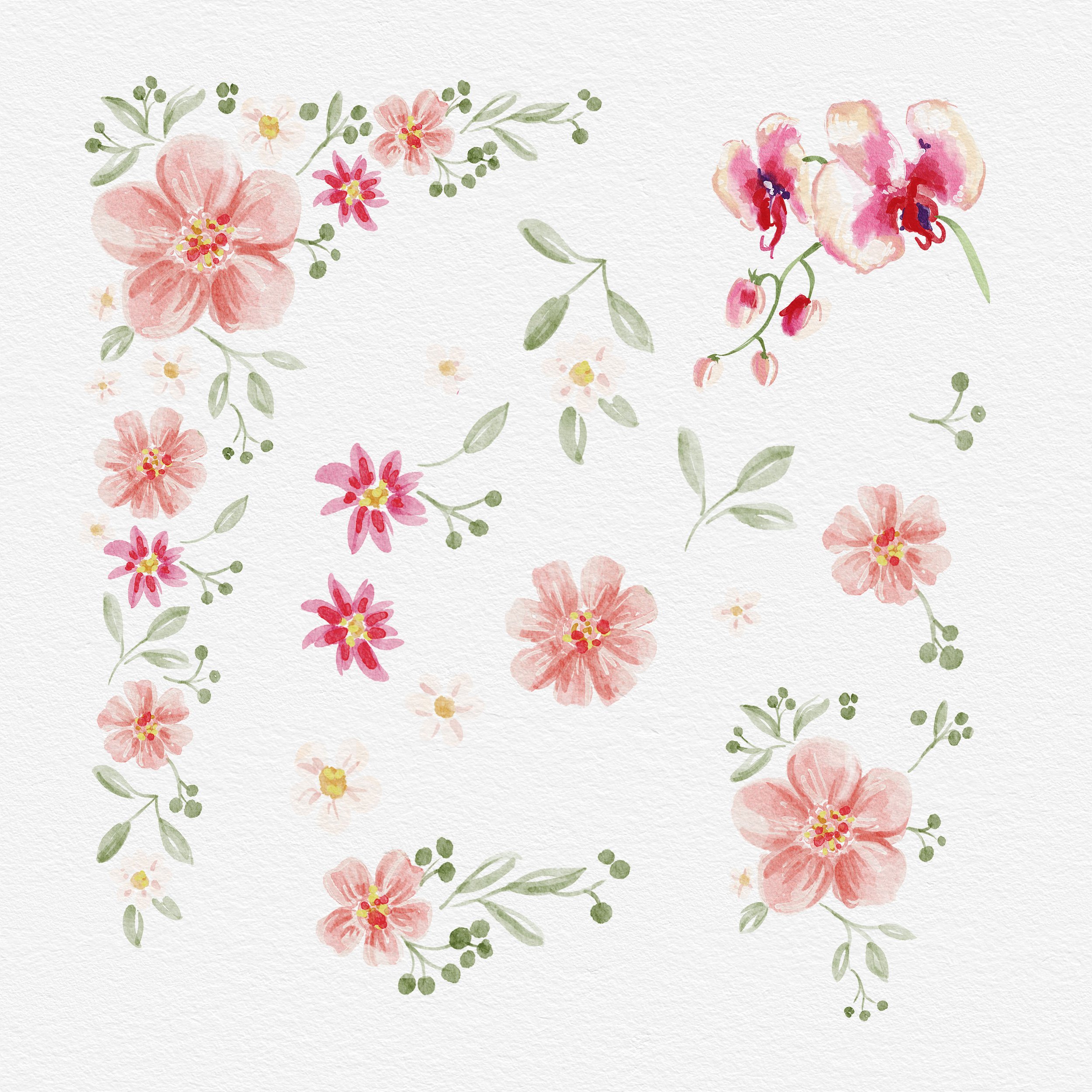 Watercolor collection - Pink Flowers