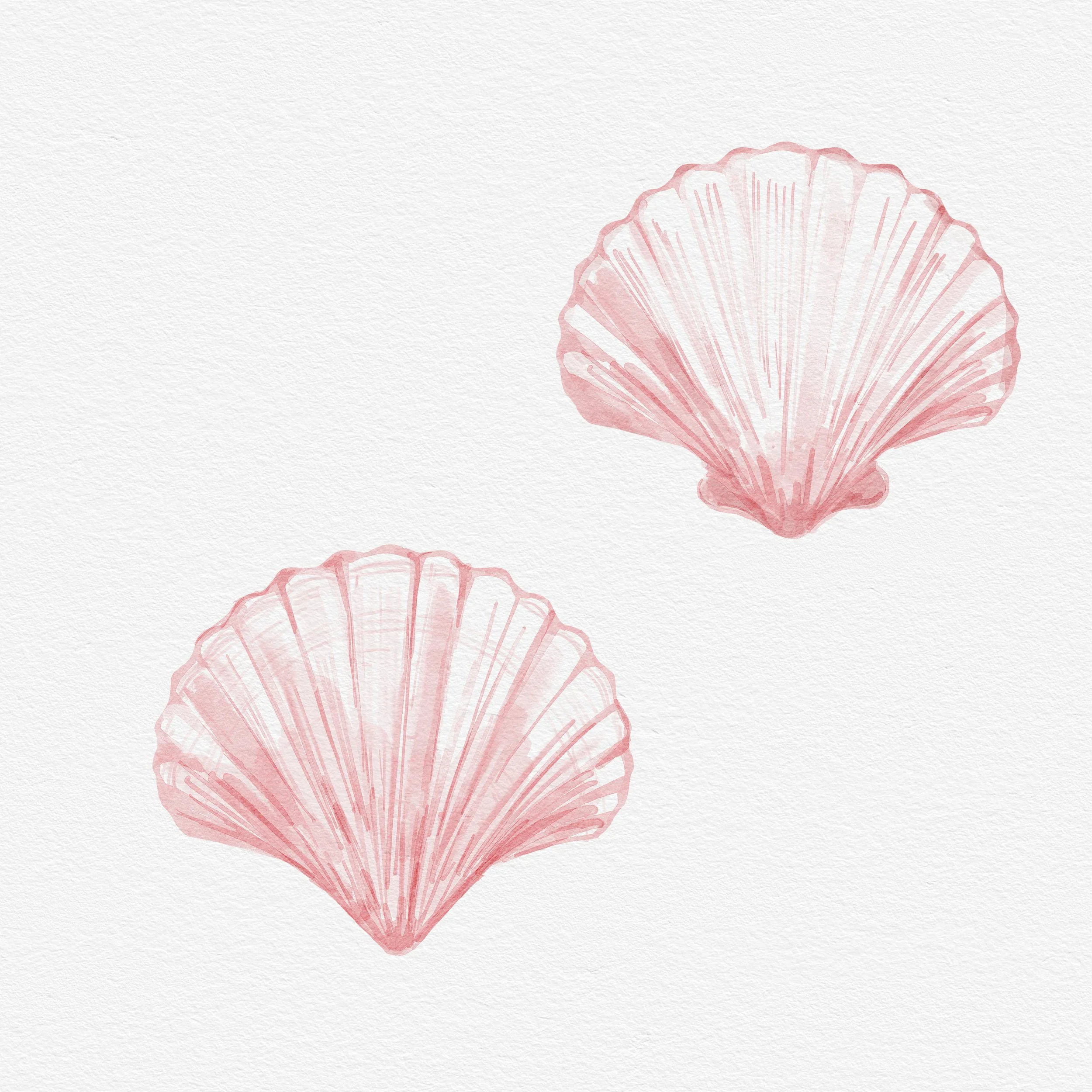 Pink Shells-.jpg
