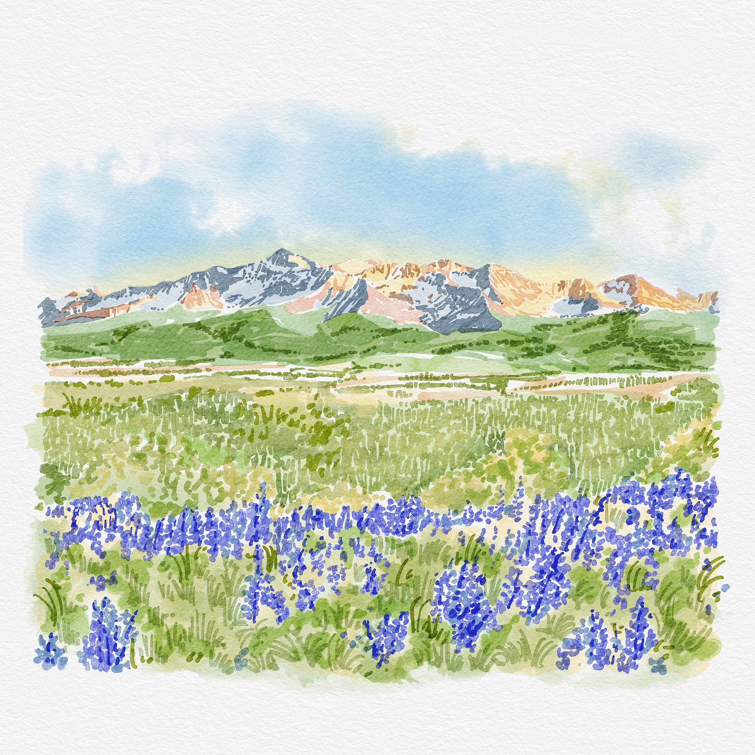 Wilson Peak, San Miguel Range - CO