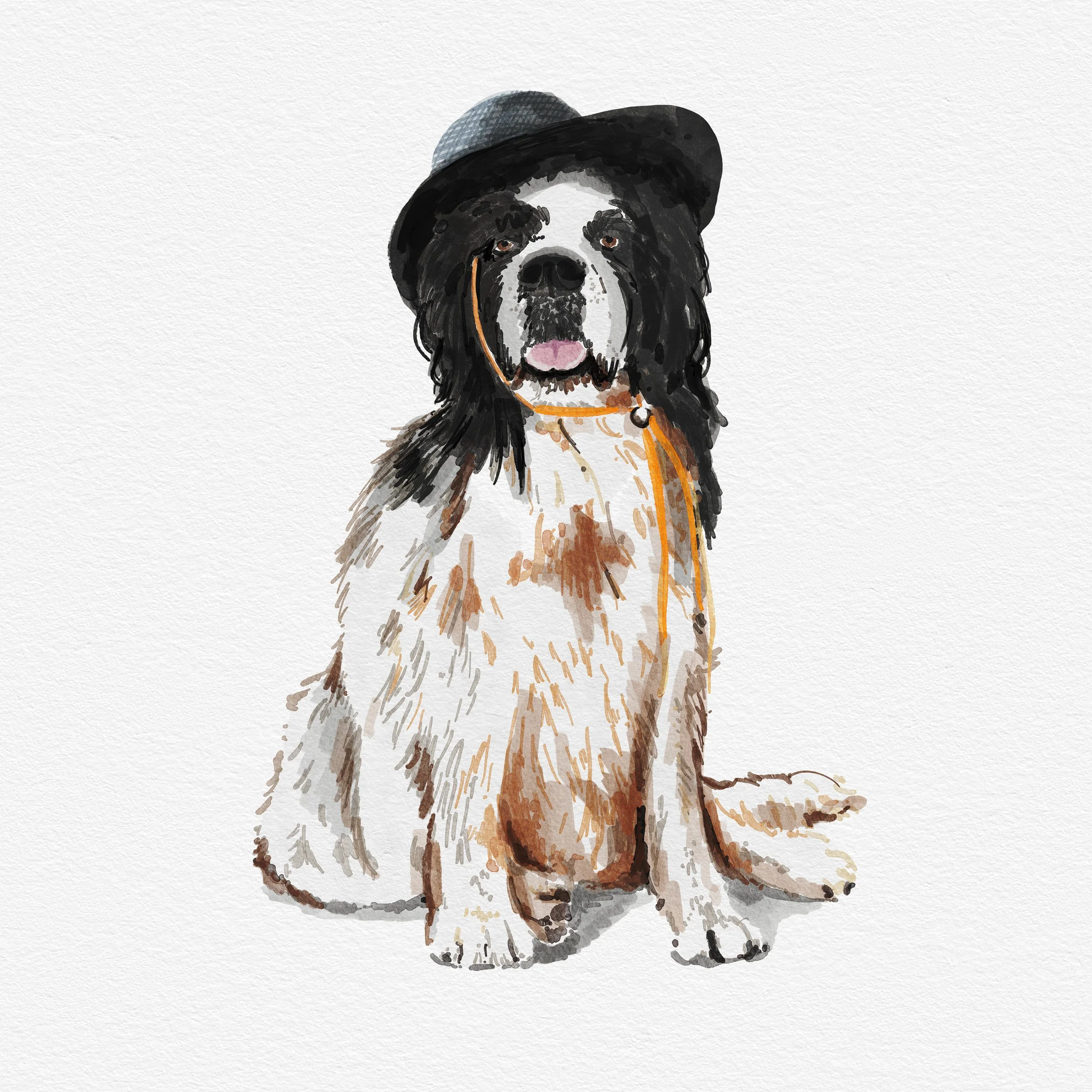 Dog Portrait-no chain.jpg