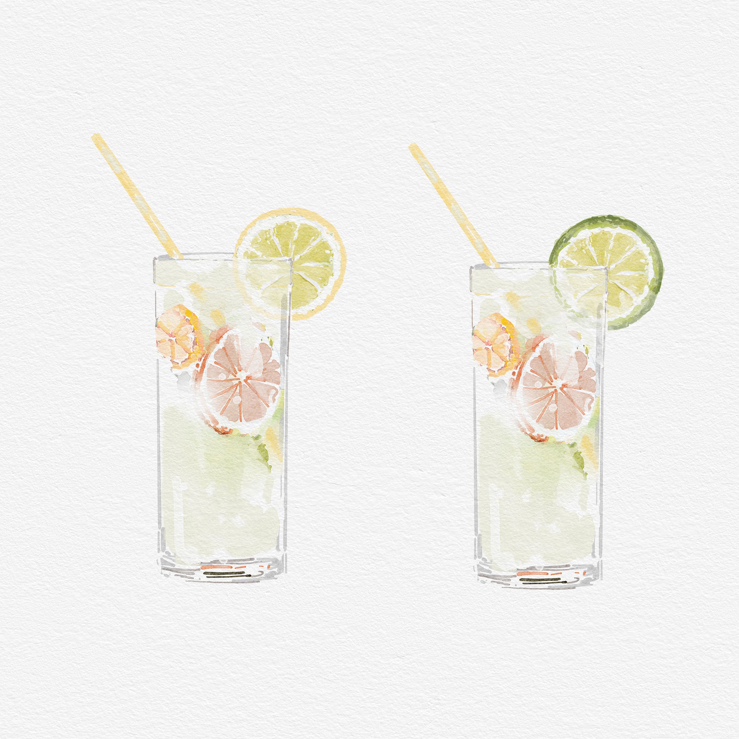 Garden G&T with lemon and lime