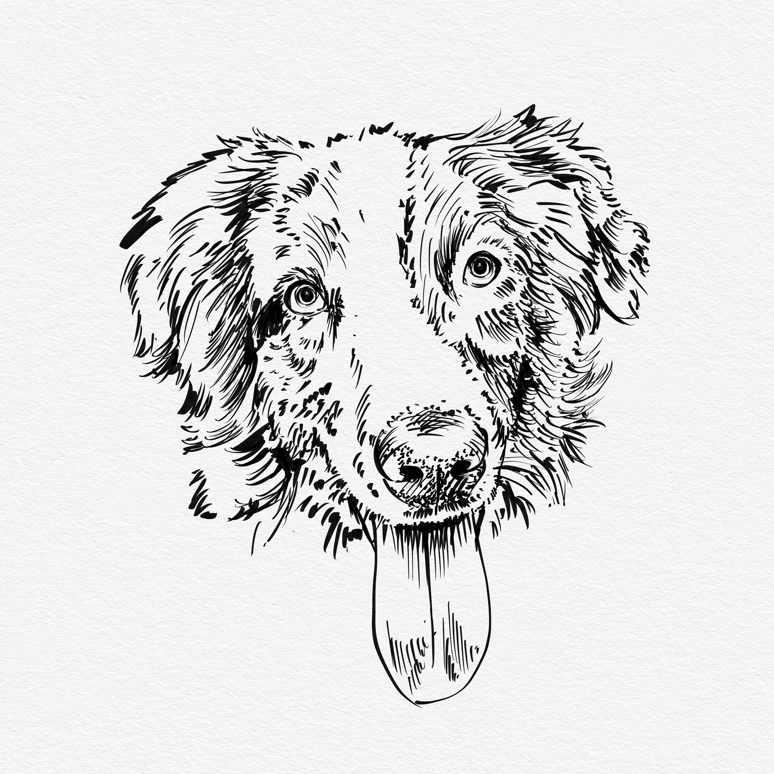 Pup Portrait.jpg