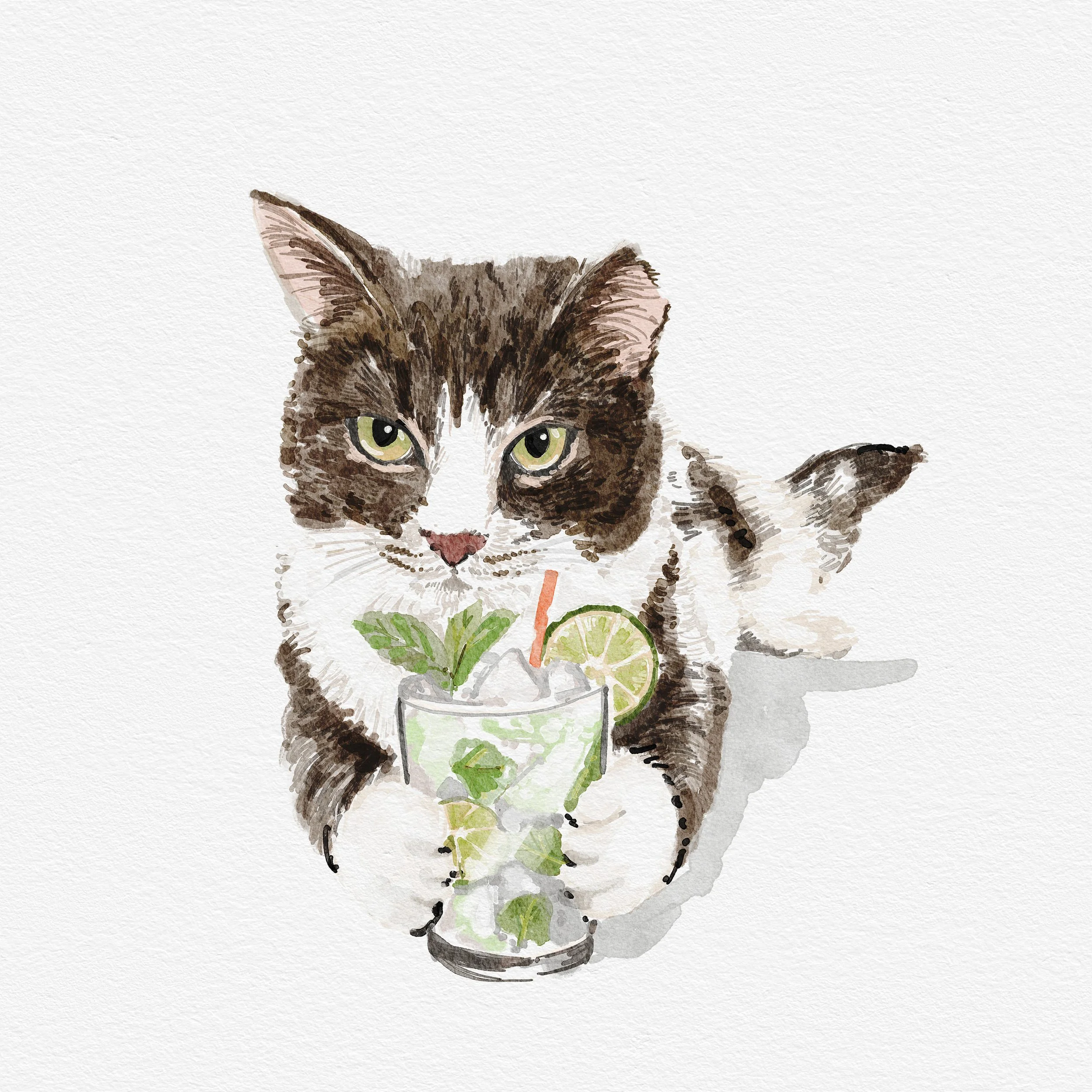 Kitty w Mojito.jpg