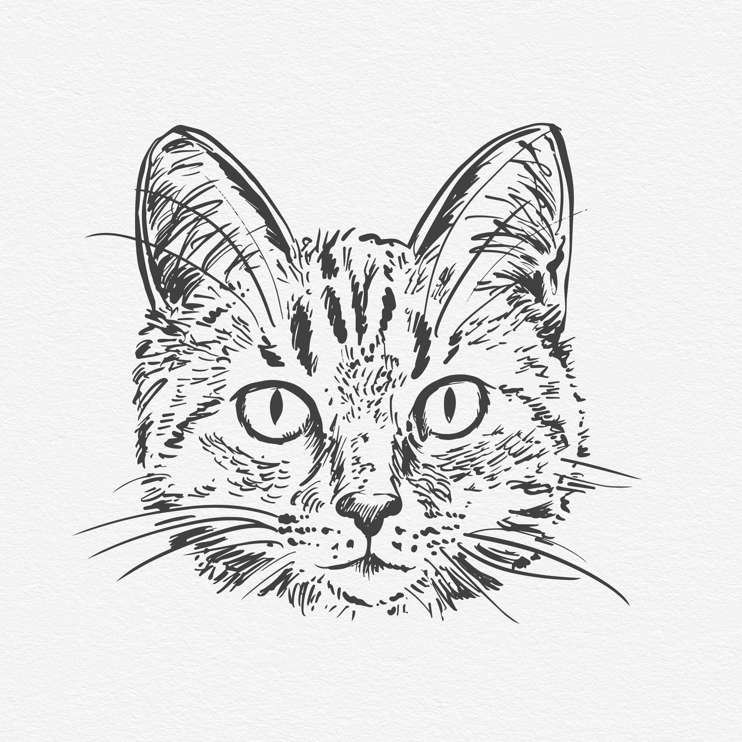 Cat Head.jpg