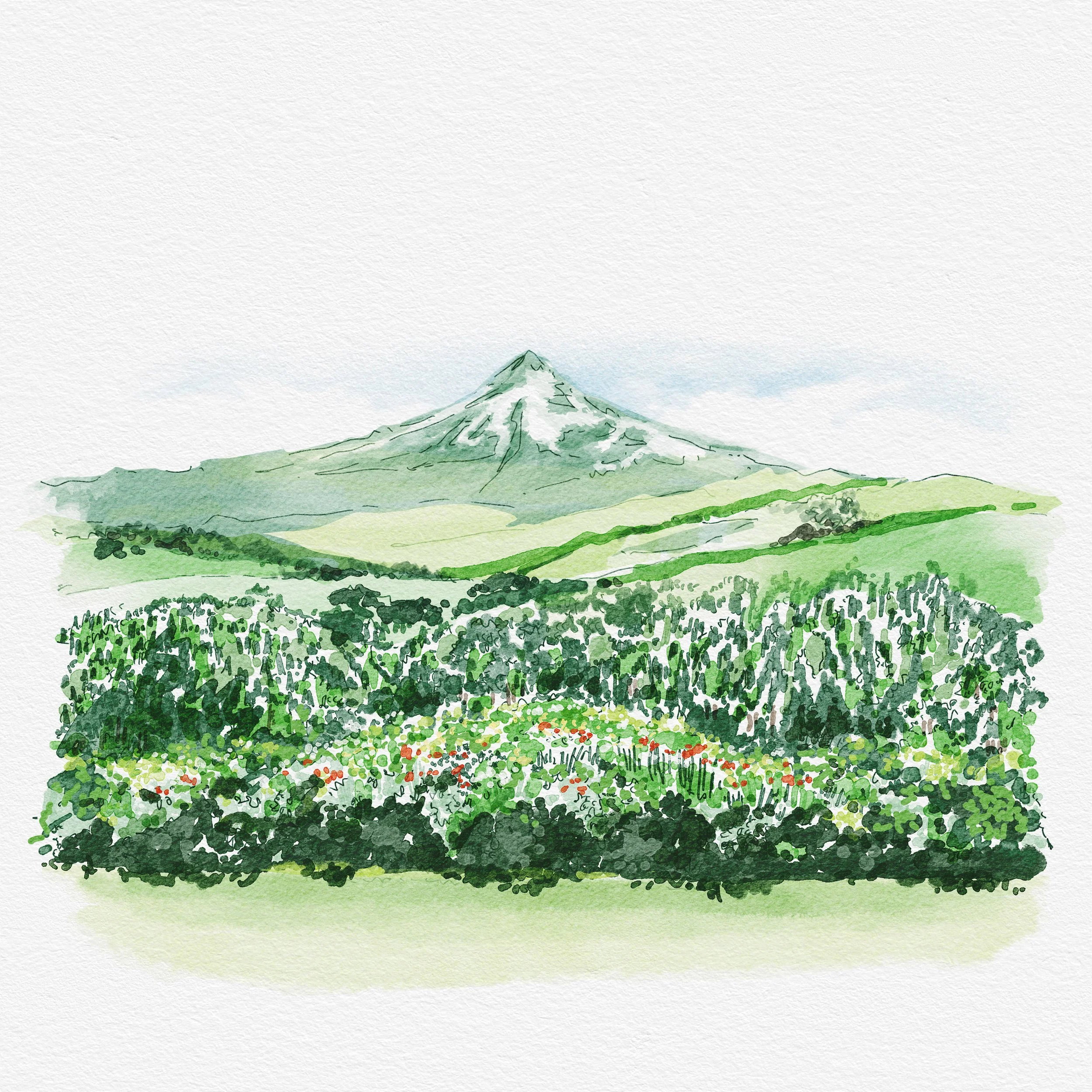 Generic Landscape