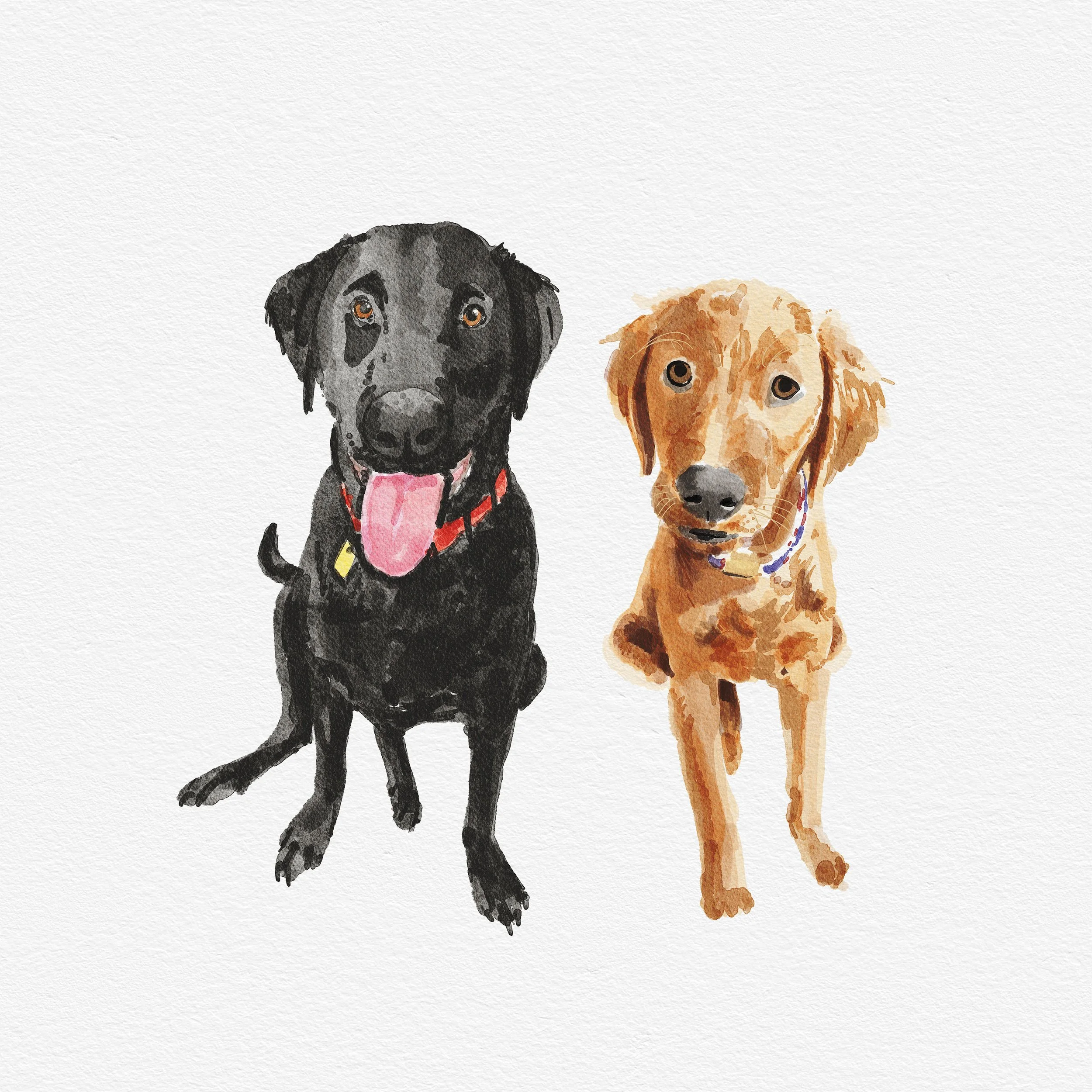 Puppies.jpg