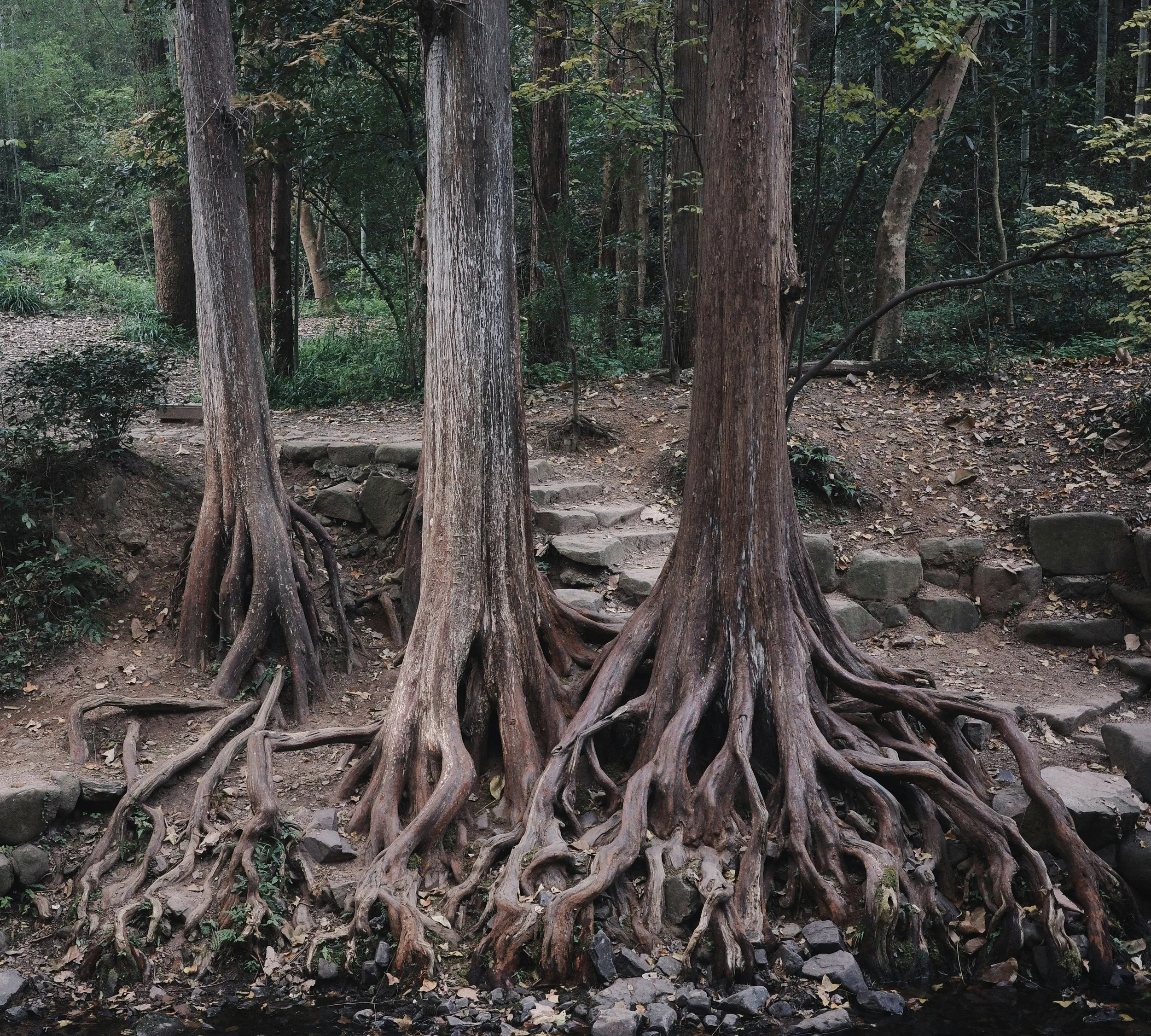 Boundaries with Friends