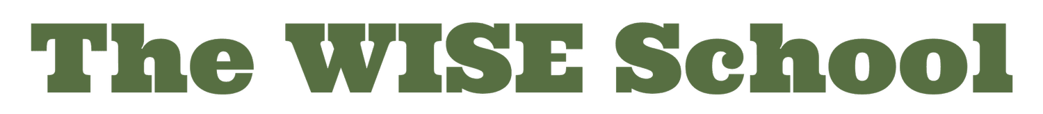 The WISE School