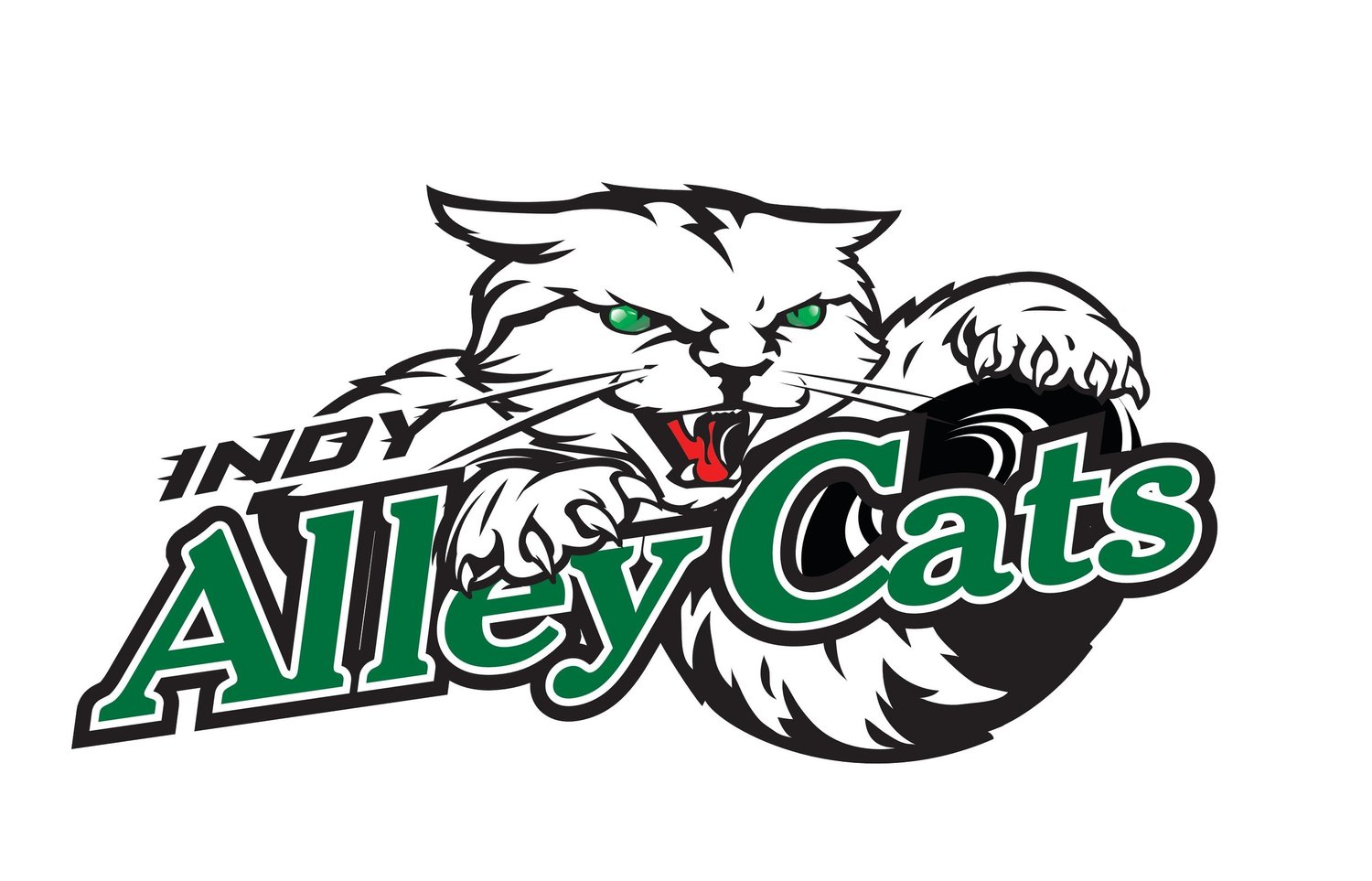In Stock Merchandise — The Indianapolis AlleyCats Official Home
