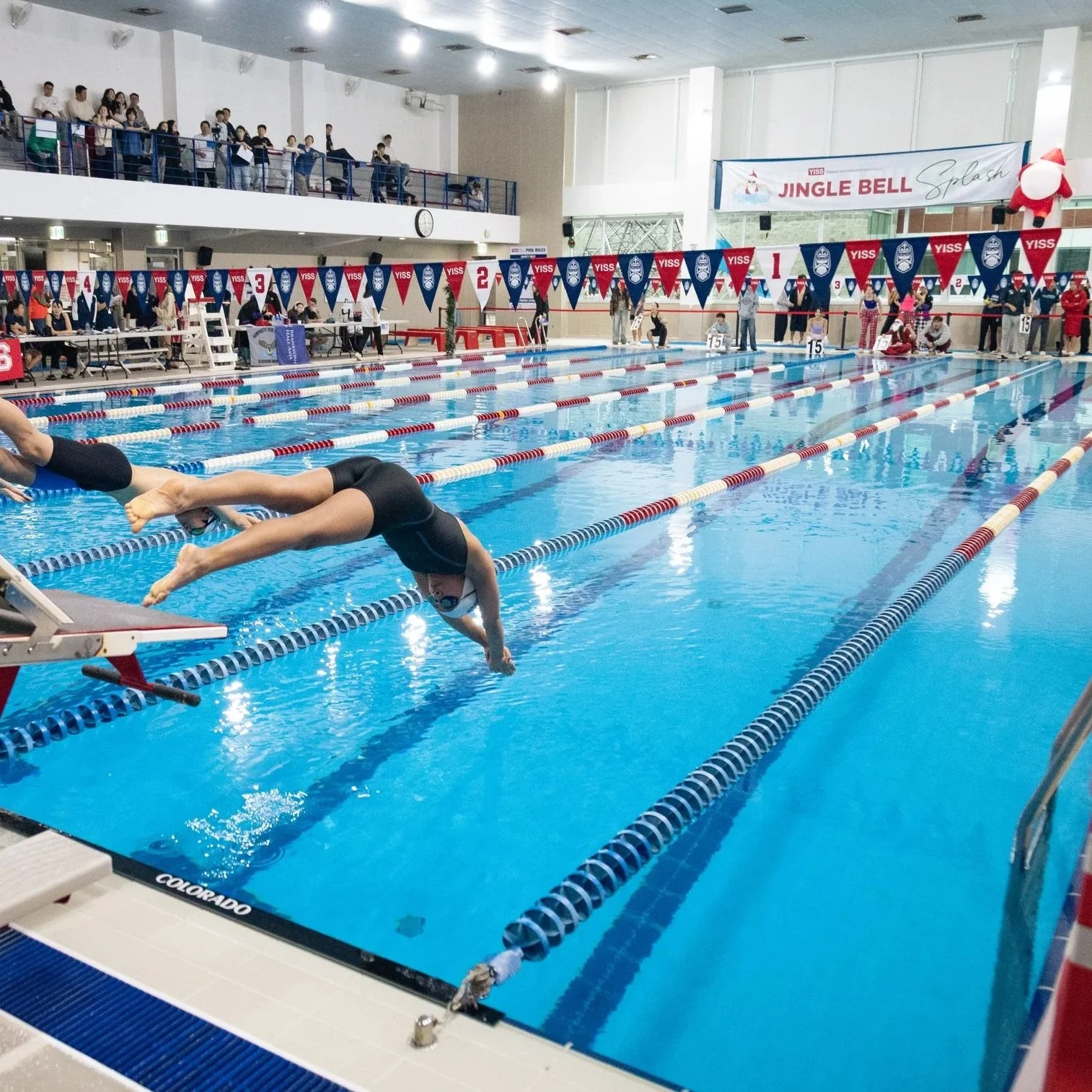 Aquatics Hosts Record-Breaking Jingle Bell Splash