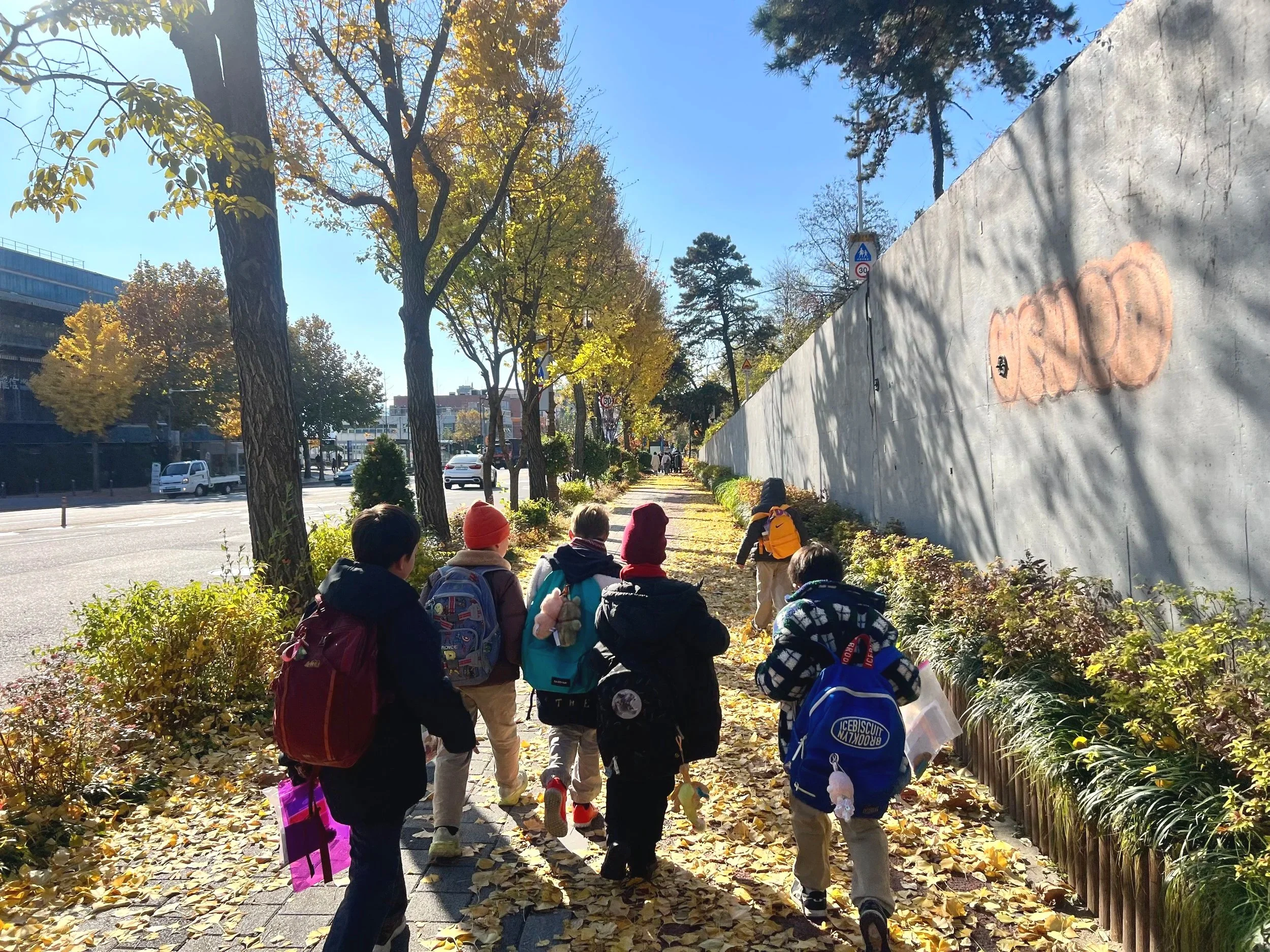 Second Graders Explore Nature on Namsan
