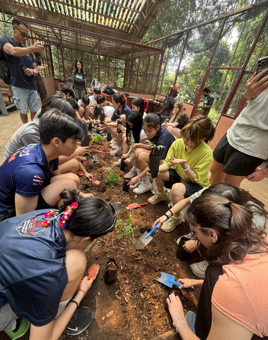 Chiang Mai planting.jpg