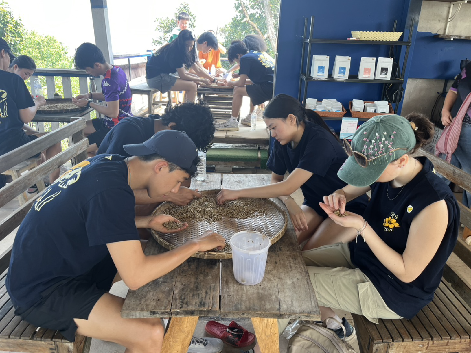 Chiang Mai seeds.jpg