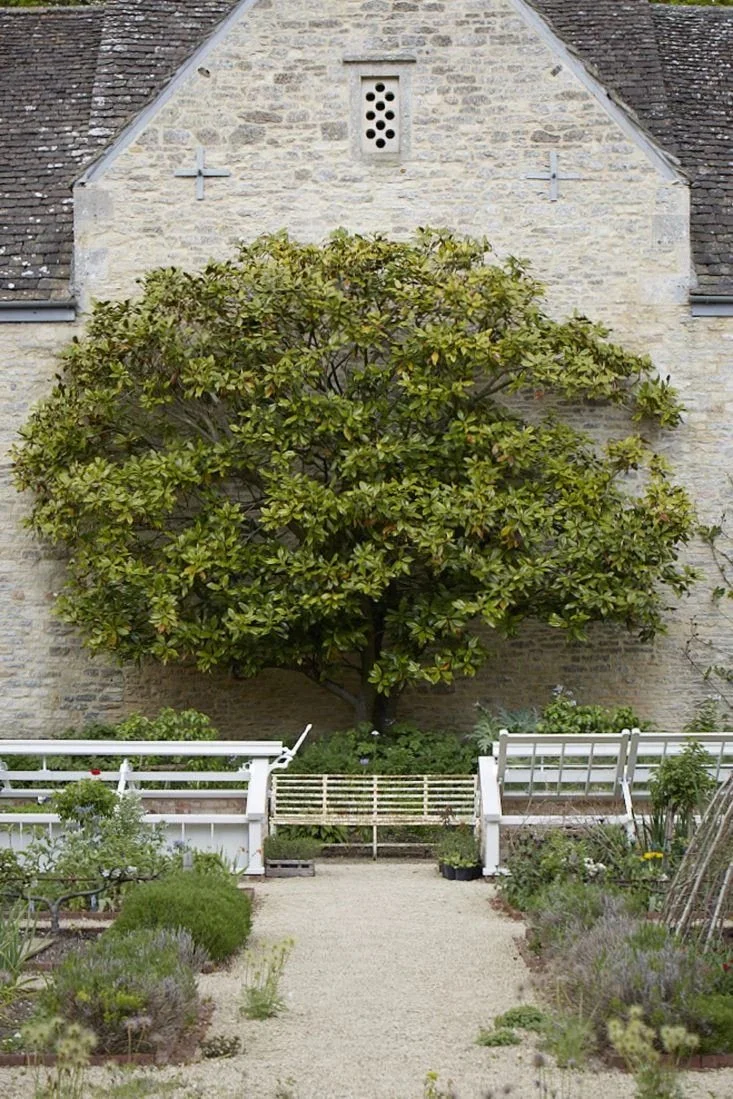 Gardenista | Florist Polly Nicholson’s Walled Garden In Wiltshire