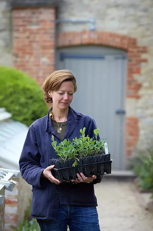 Financial Times | A Grower’s Revival