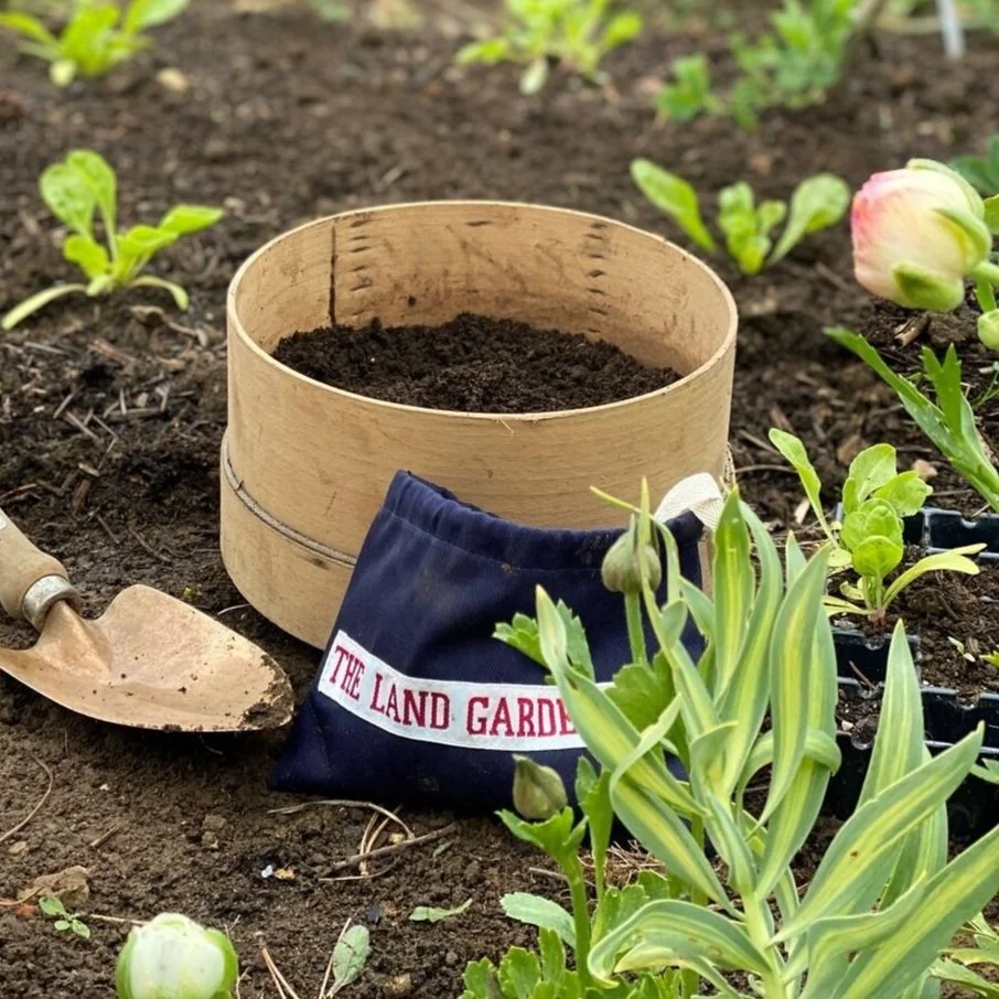 Garden Days — Bayntun Flowers Organic Growers of Specialist Flowers