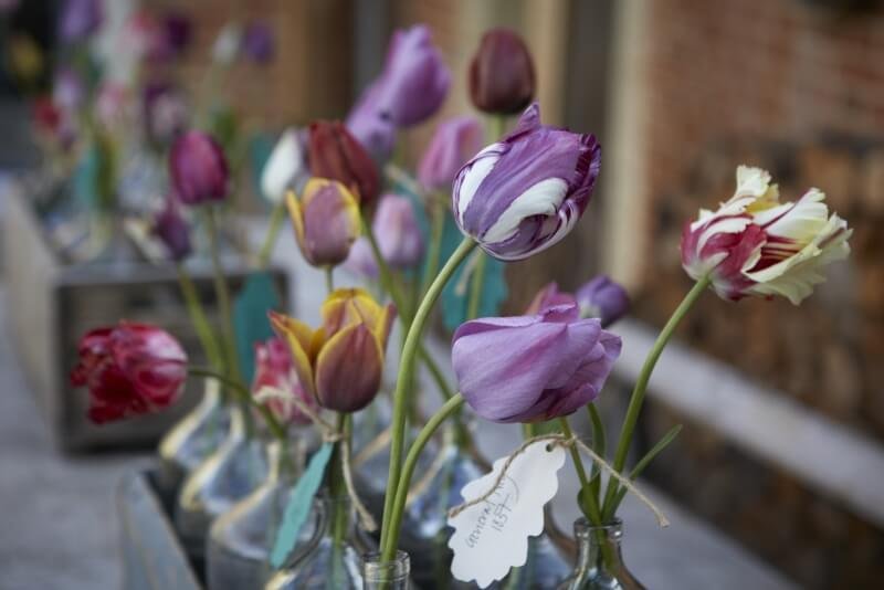 Blackland-House-Bayntun-Flowers-Historic-Tulips-2.jpg