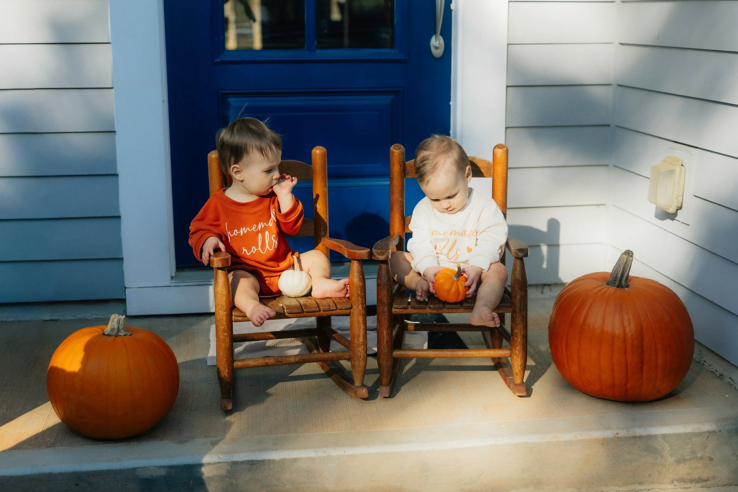 November 2025 Newsletter