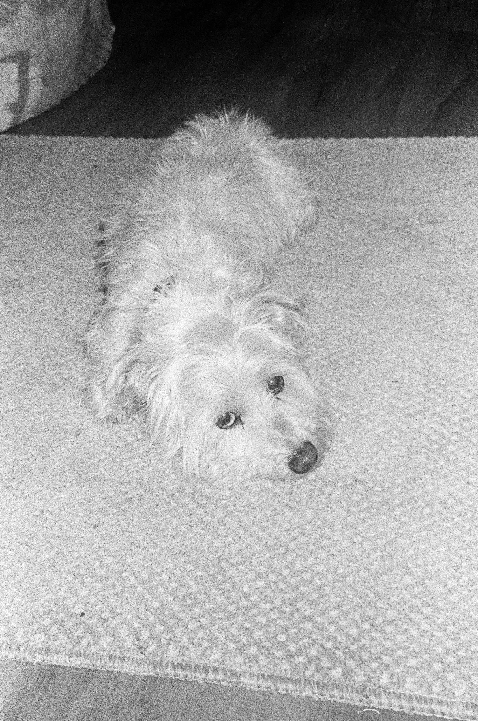 HP5_July_2025 (25 of 28).jpeg