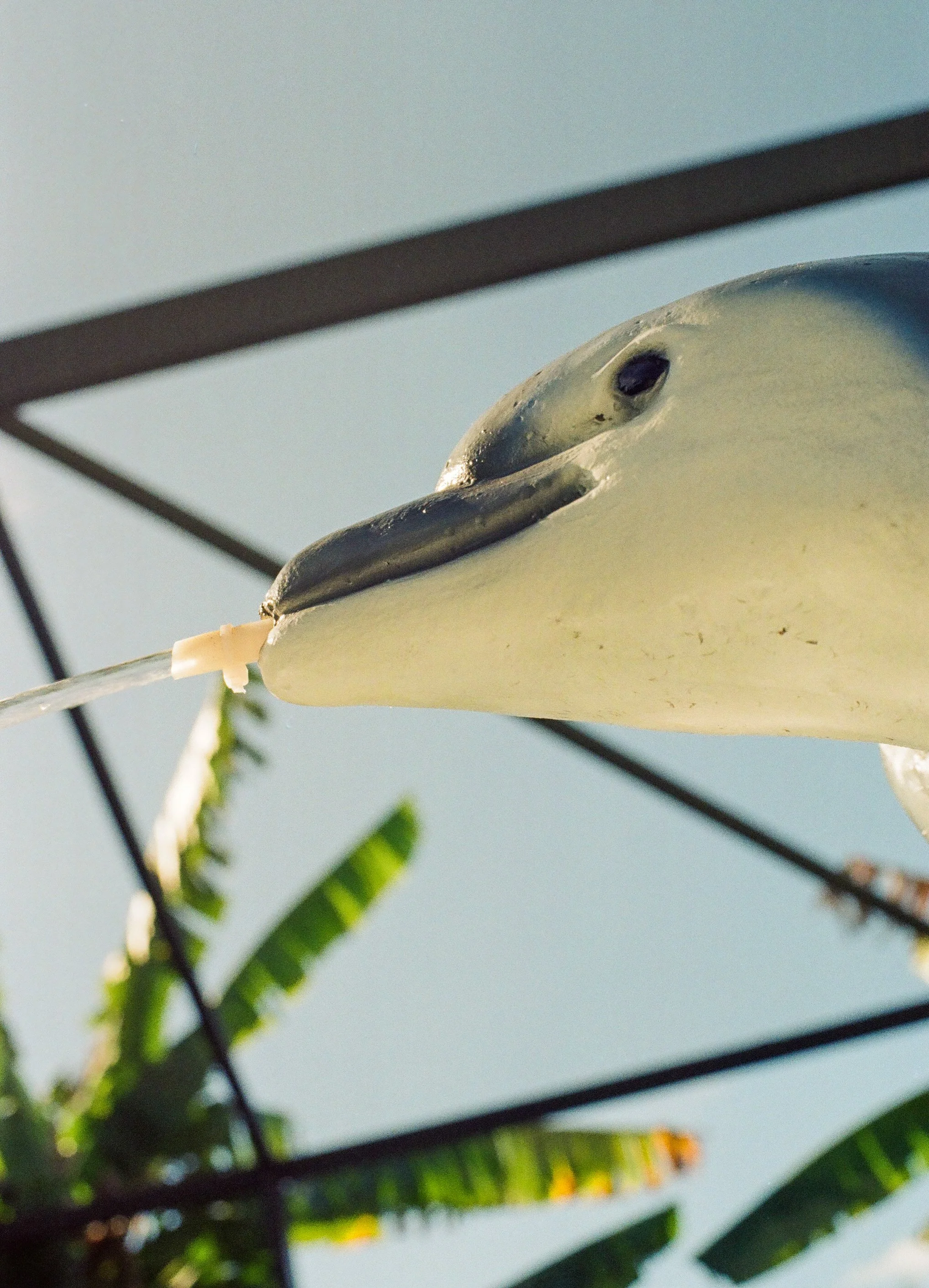 CapeCoral_Gold200 (11 of 35).jpg