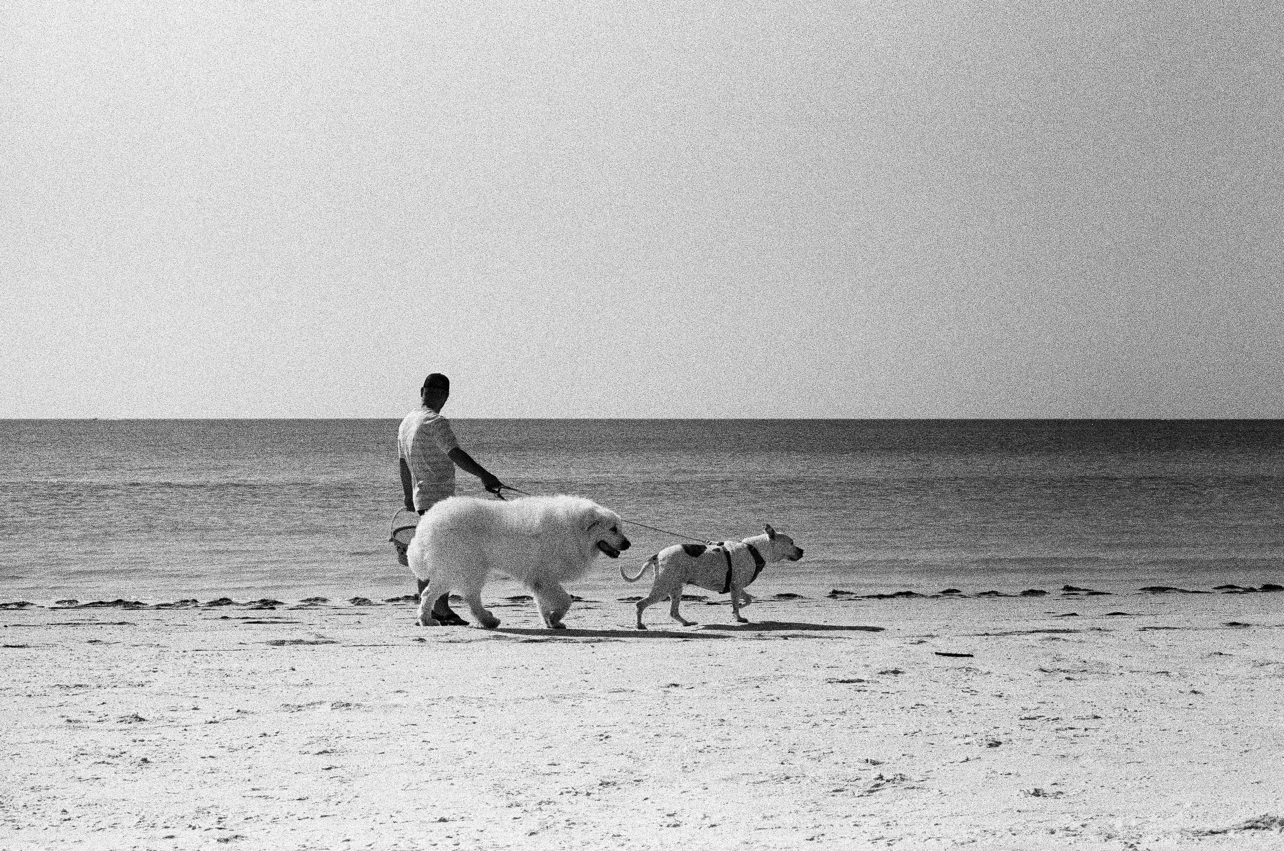 CapeCoral_Delta400_2Stops (30 of 35).jpg