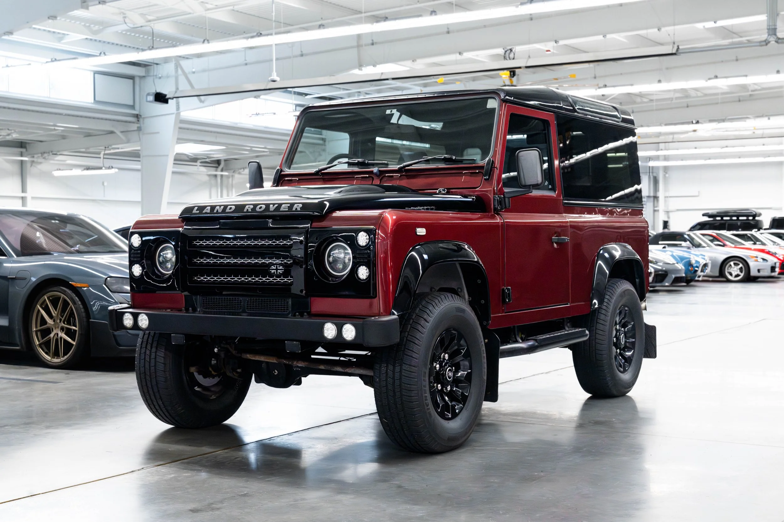 dino red d90 (13 of 97).jpg