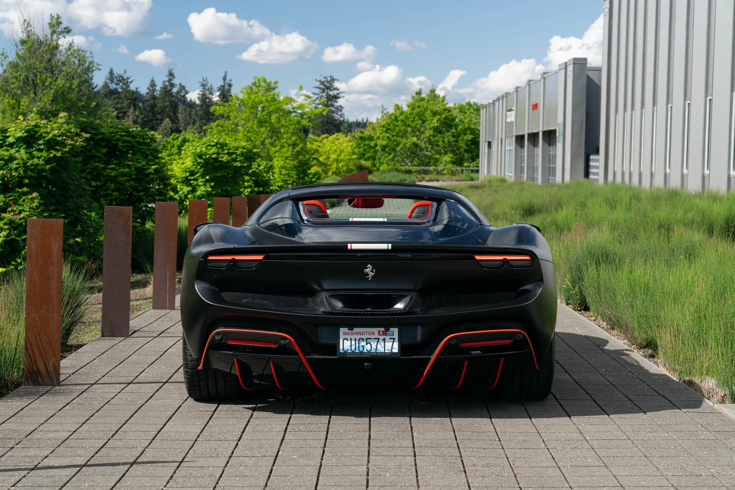 296 dino (6 of 19).jpg