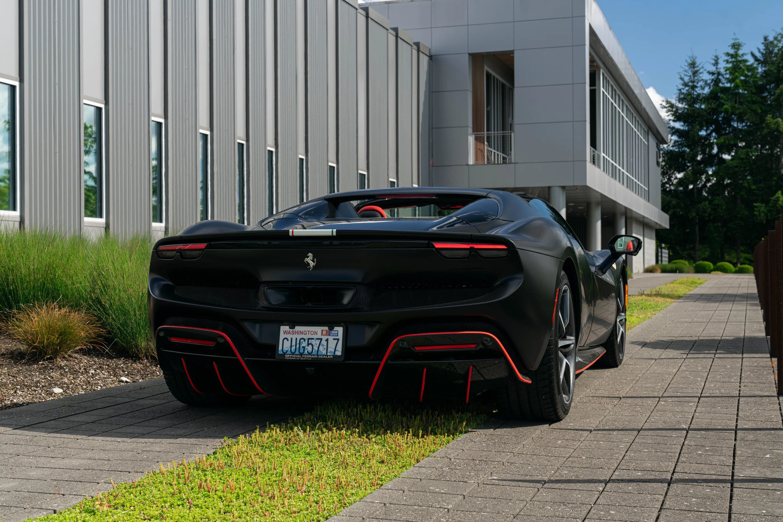 296 dino (3 of 19).jpg