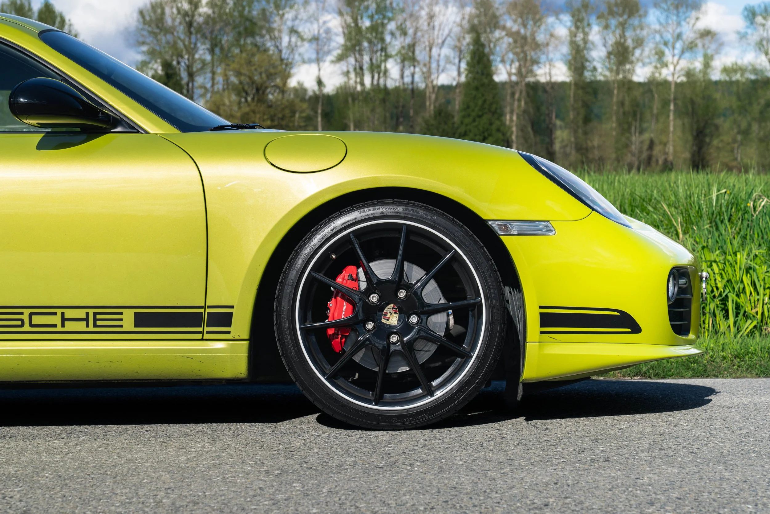 dino cayman r (25 of 70).jpg