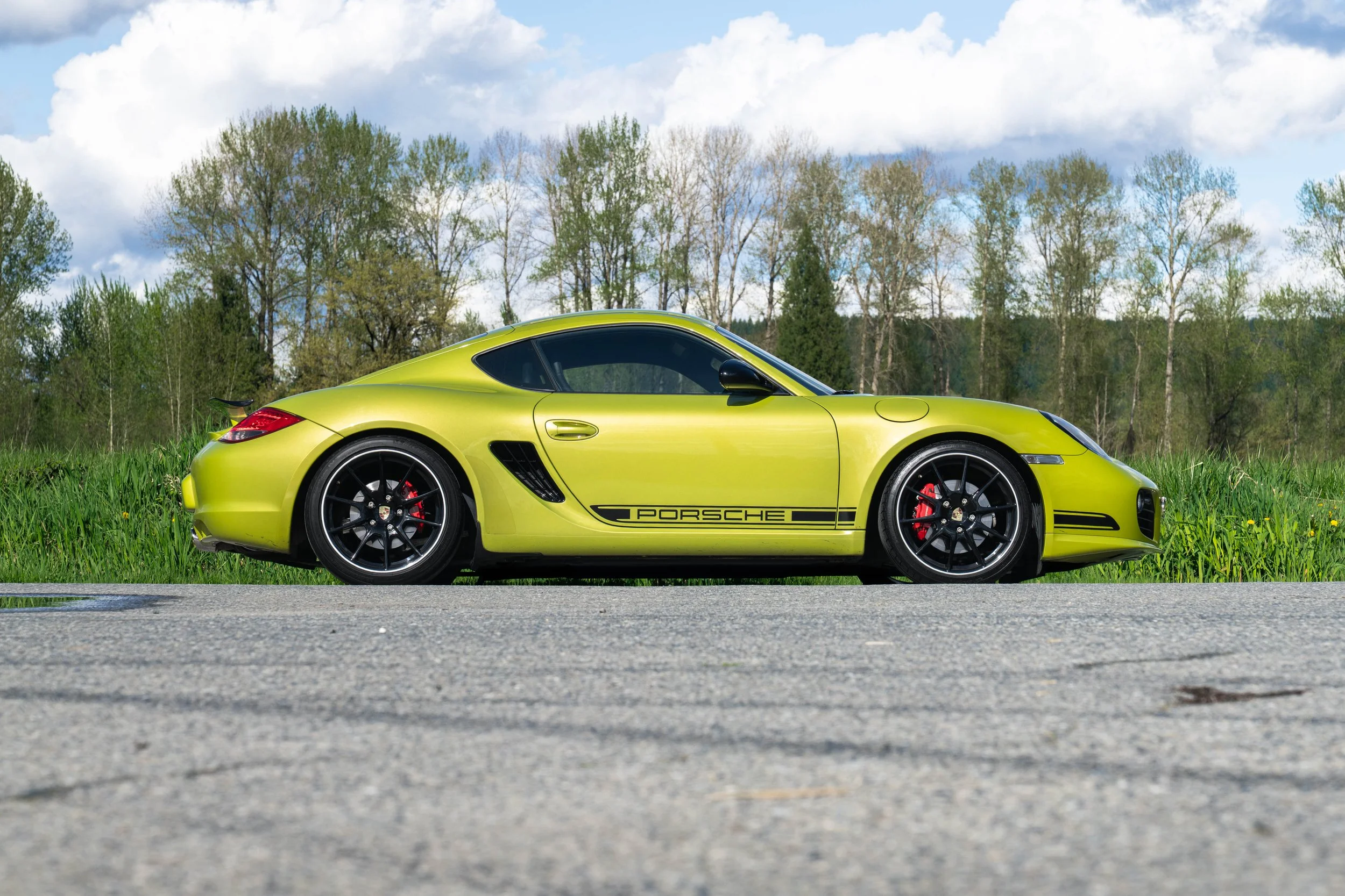 dino cayman r (20 of 70).jpg