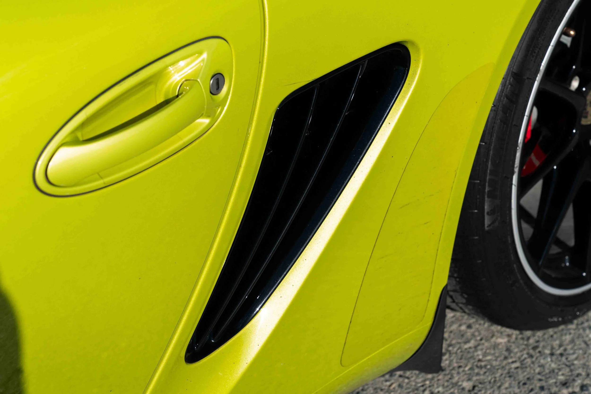 dino cayman r (51 of 70).jpg