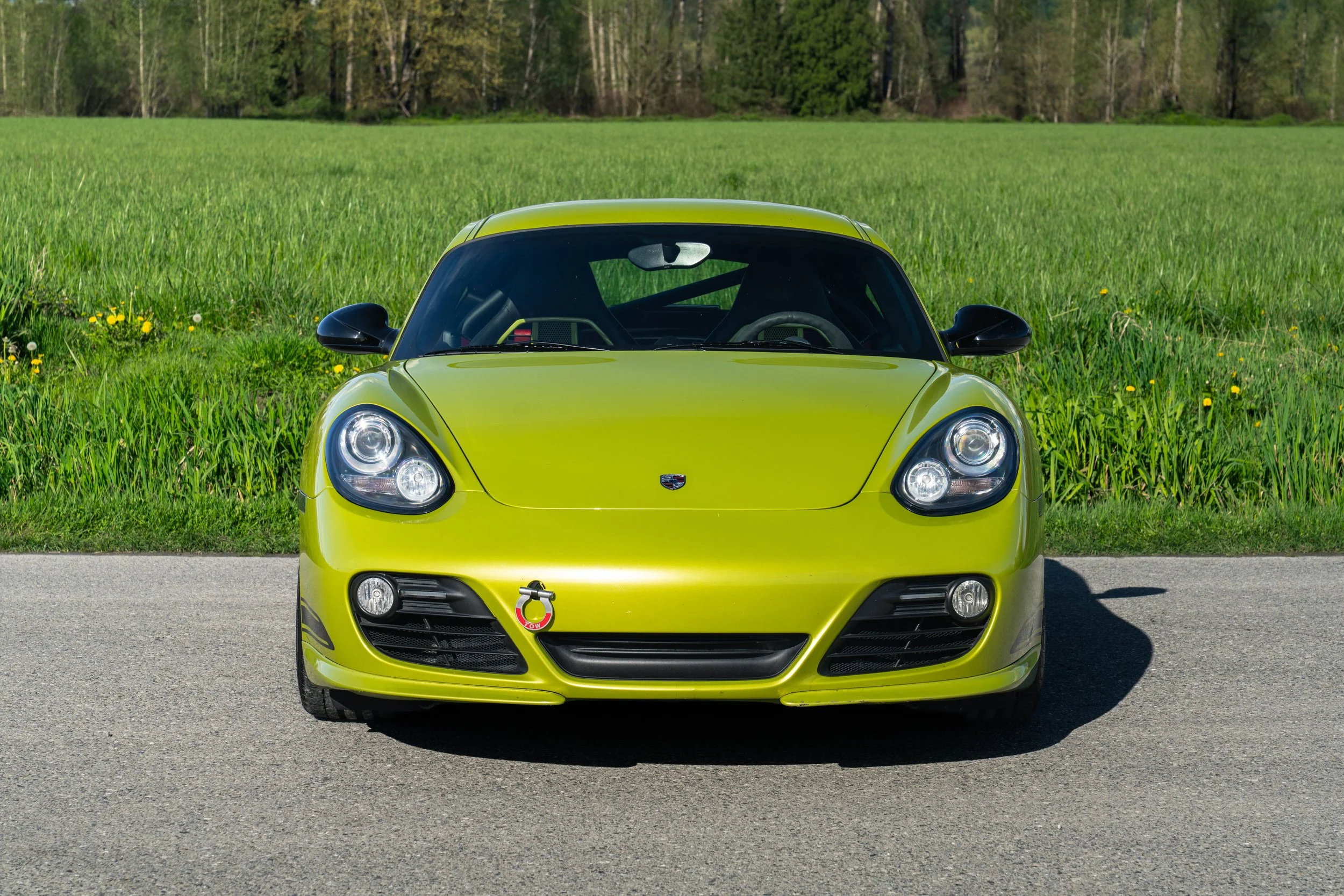 dino cayman r (55 of 70).jpg