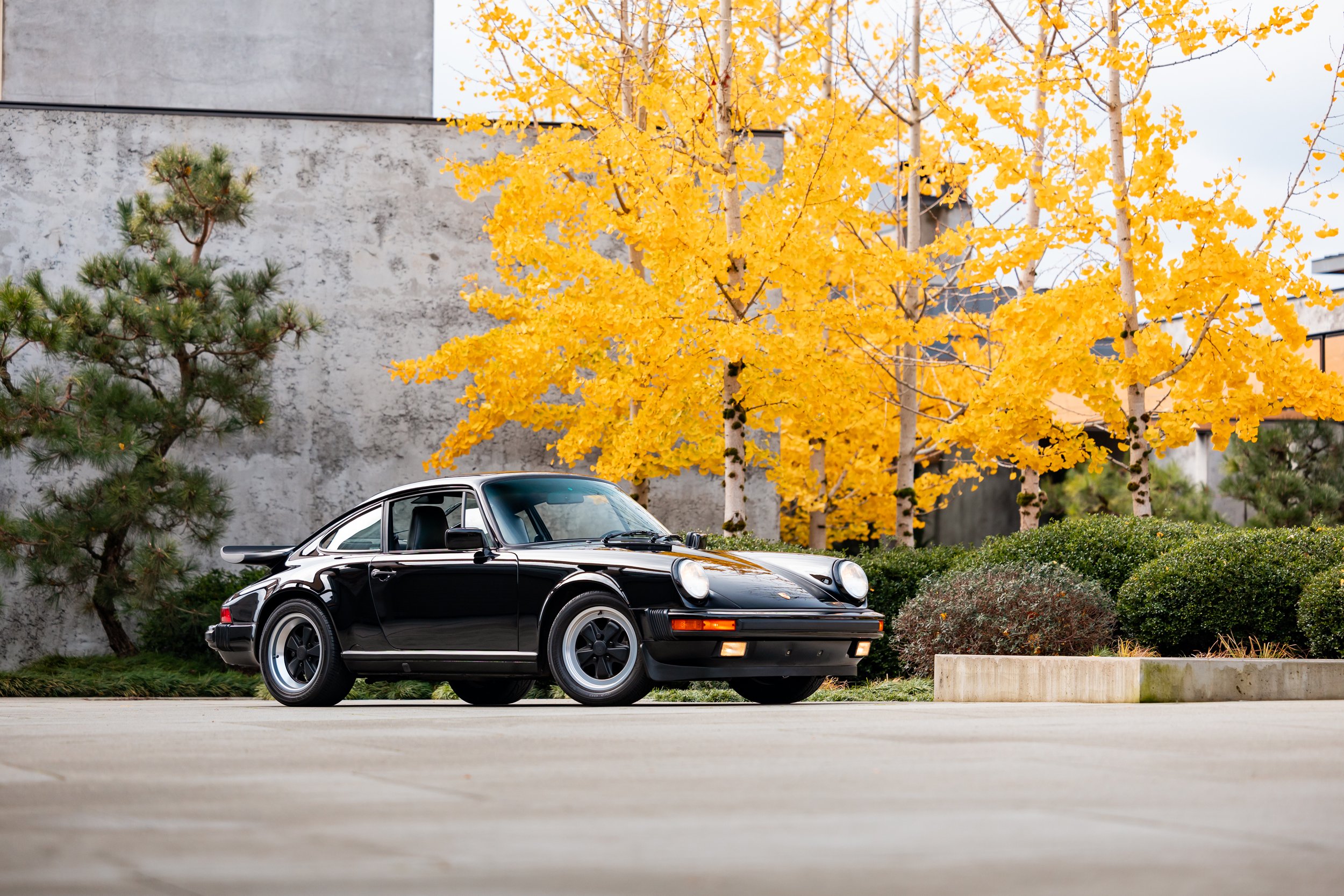 martini_89carrera3.2-1.jpg