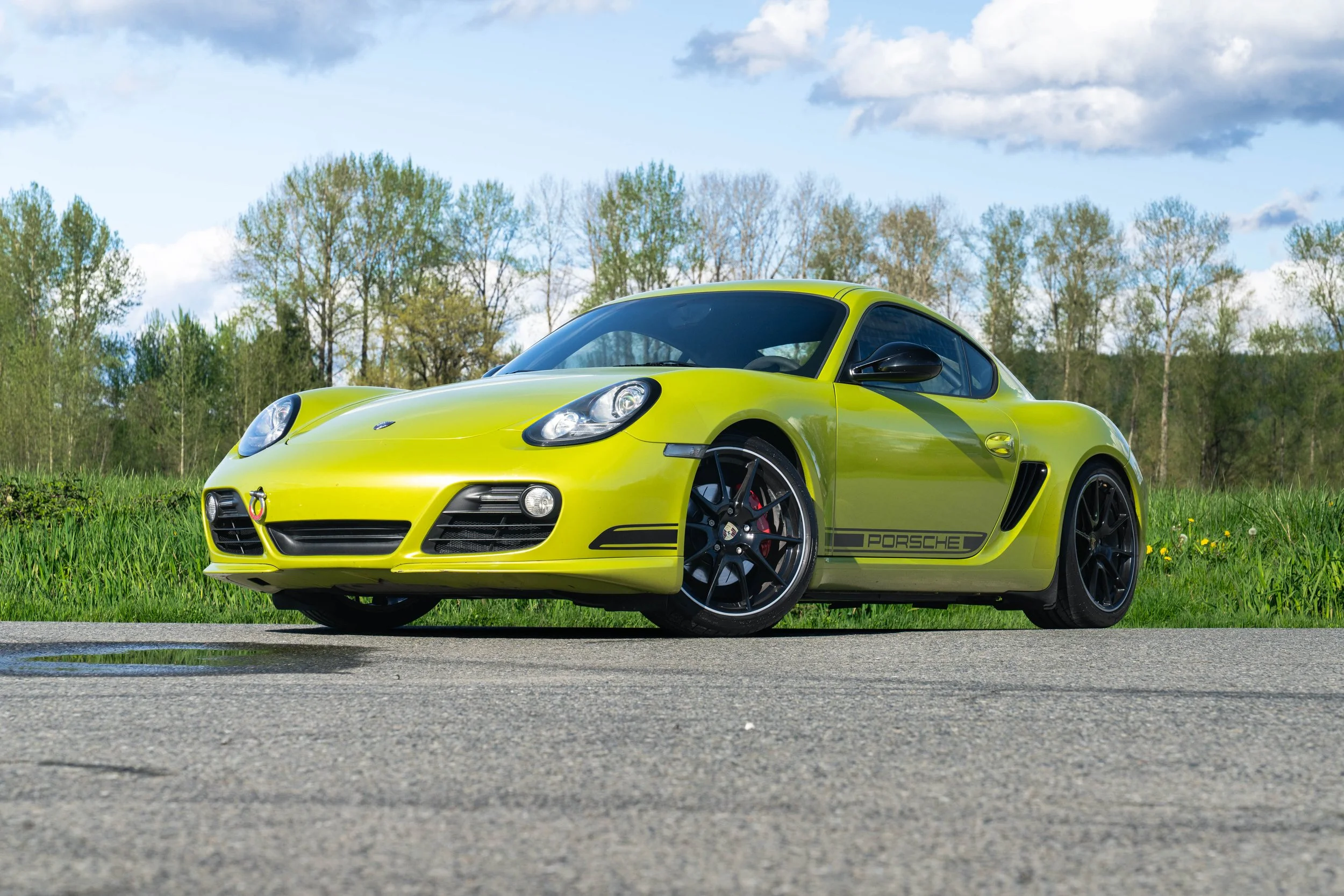 dino cayman r (66 of 70).jpg