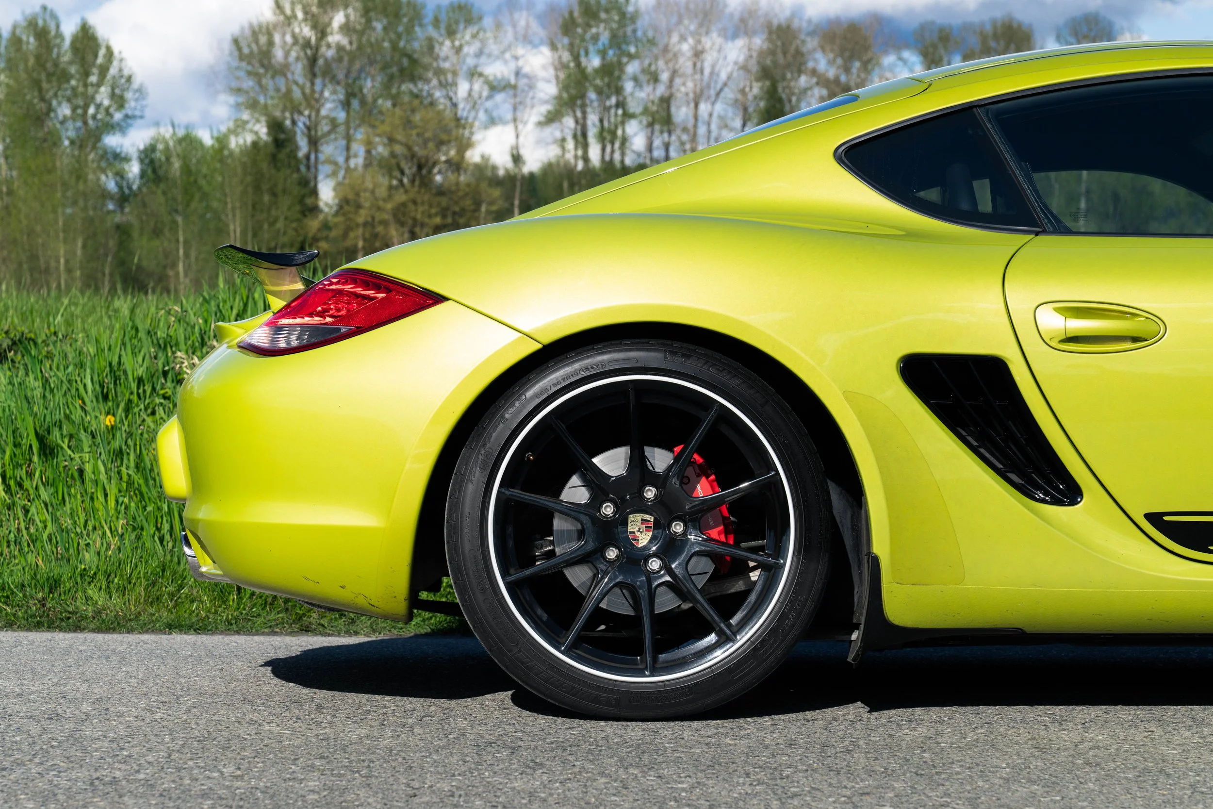 dino cayman r (26 of 70).jpg