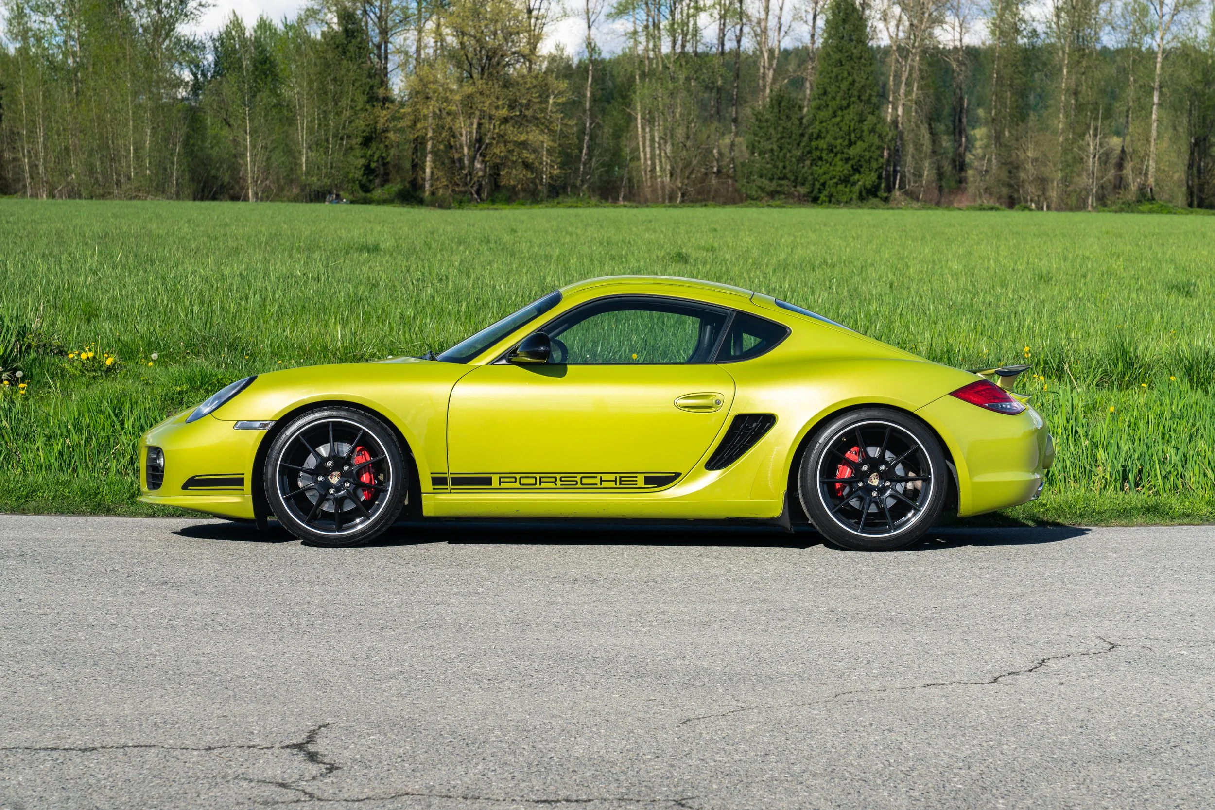 dino cayman r (41 of 70).jpg